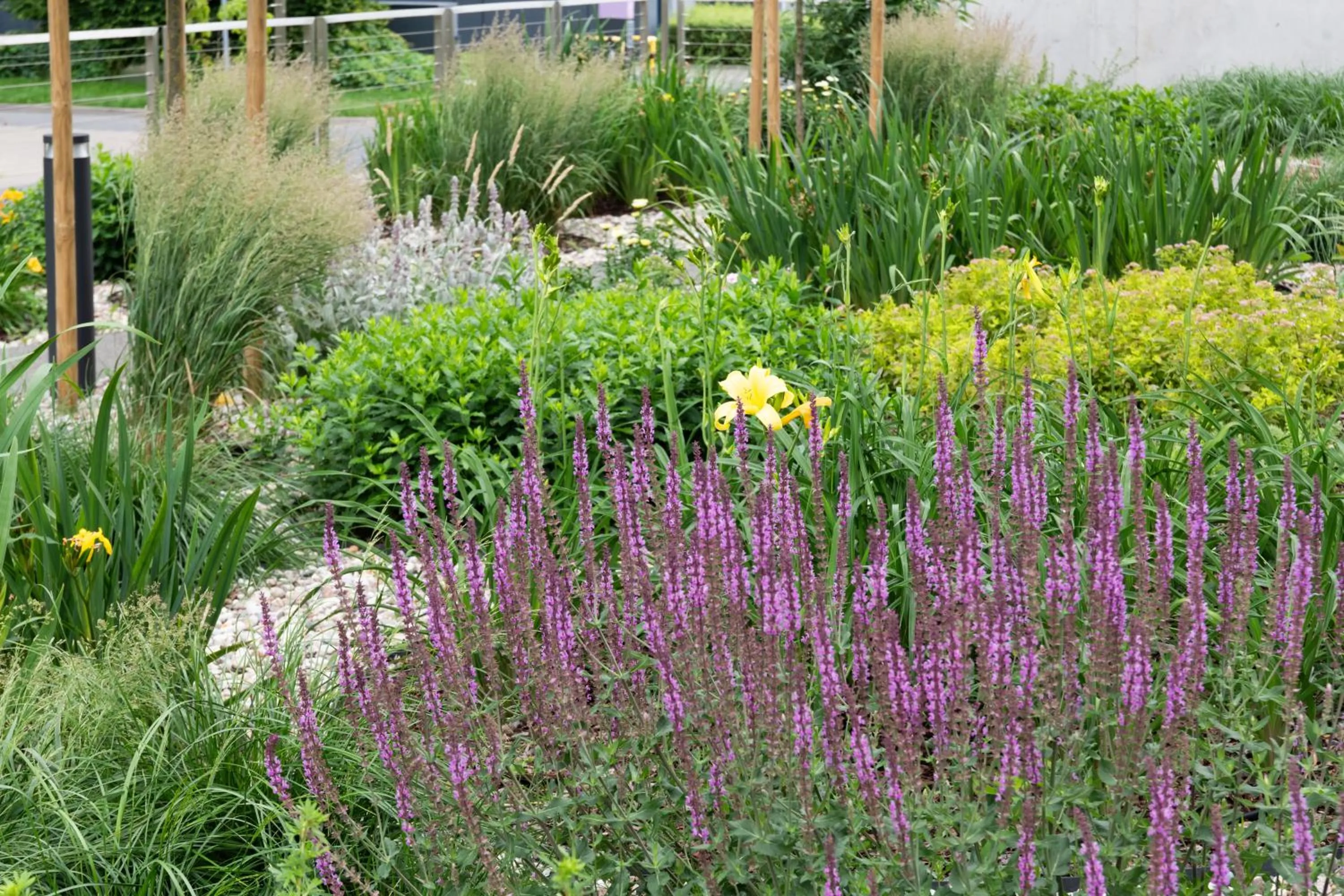 Property building in Noli Mokotow