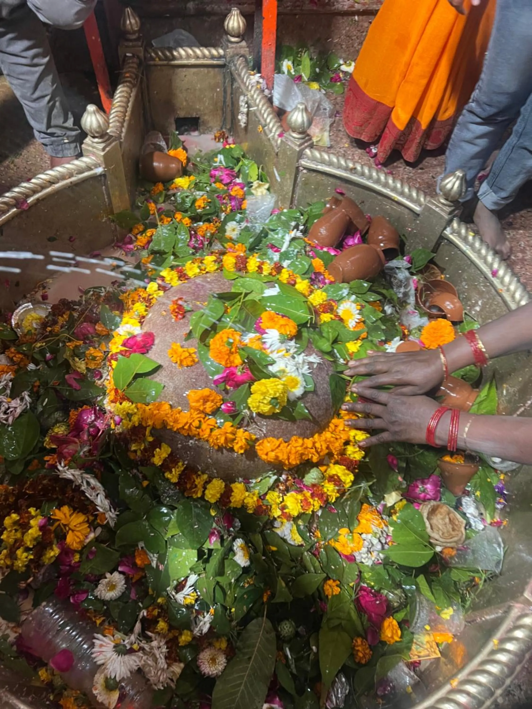 group of guests in Hotel Rajyashree Palace