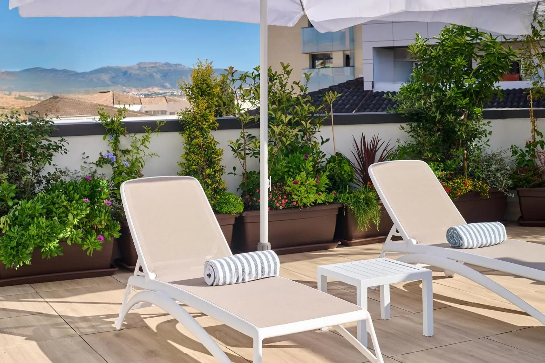 sunbed in Apartamentos Luna Suites Granada sunbed in Apartamentos Luna Suites Granada