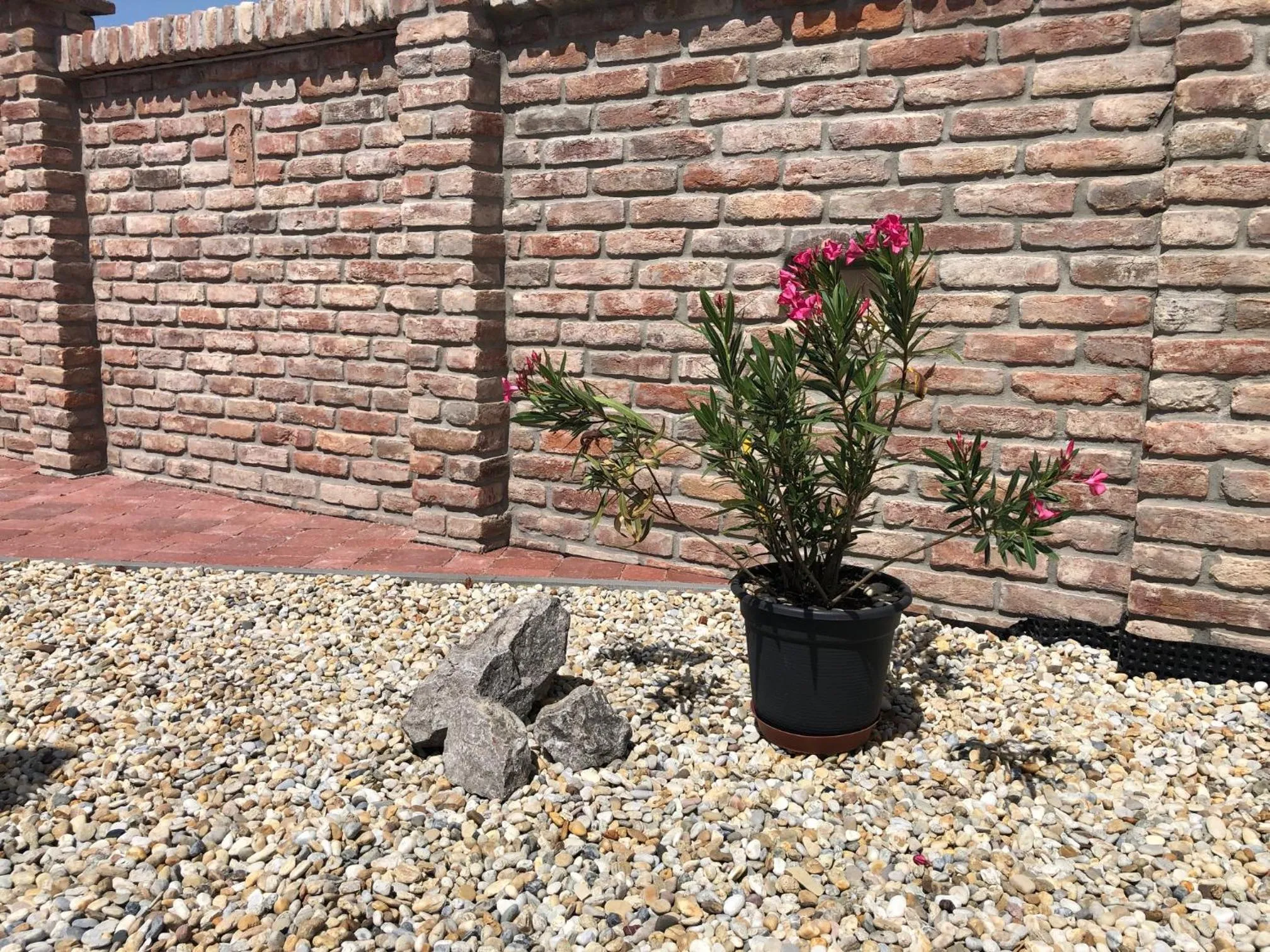 Garden in Dům na jihu Valtice