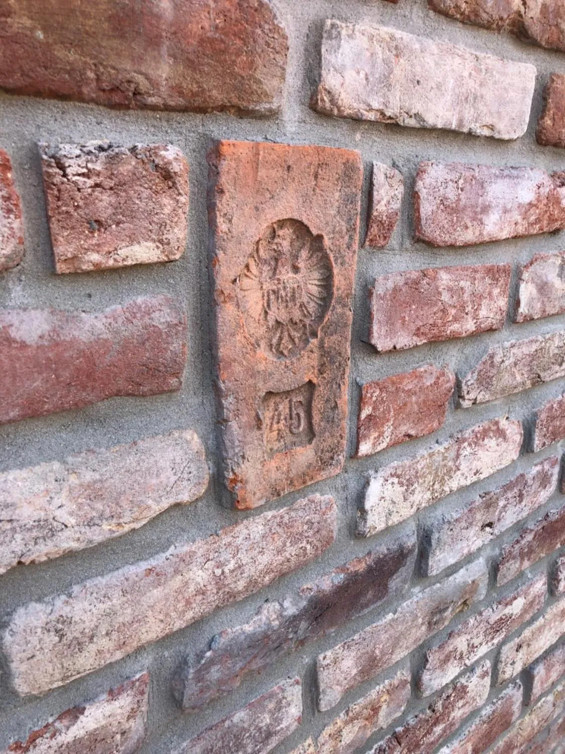 Garden in Dům na jihu Valtice