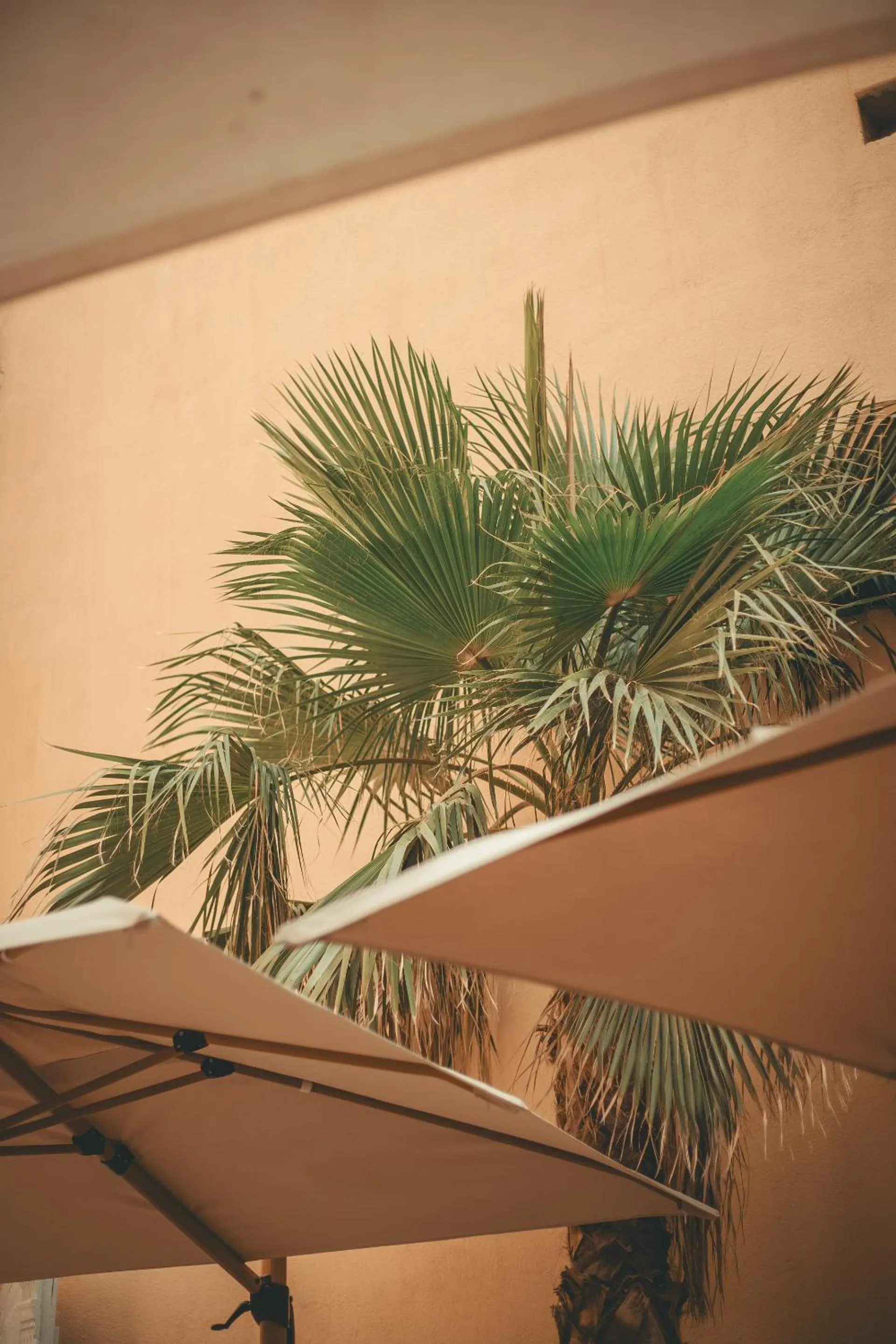 Property building in La Maison des Lamanon