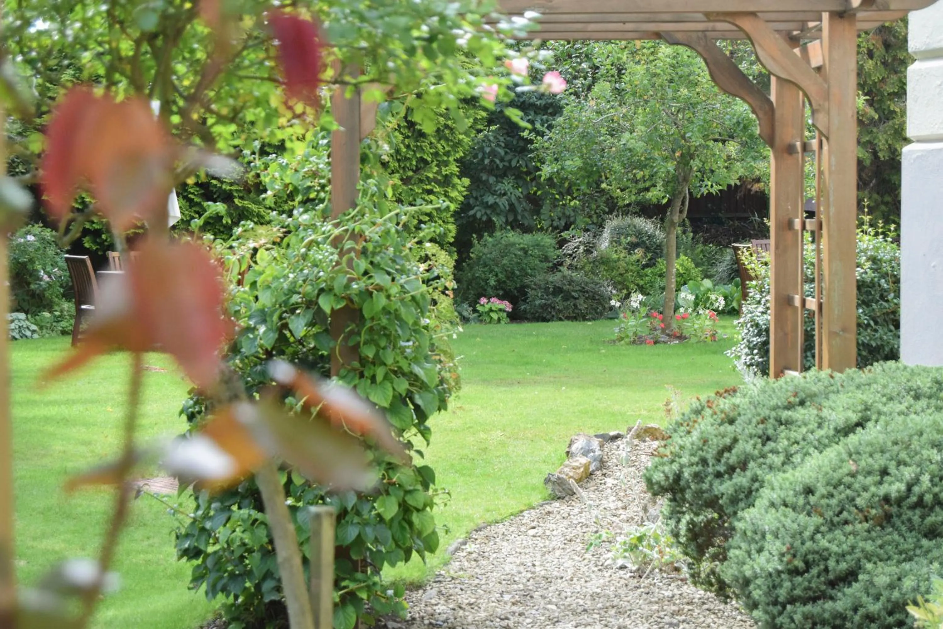Garden in Beaumont House