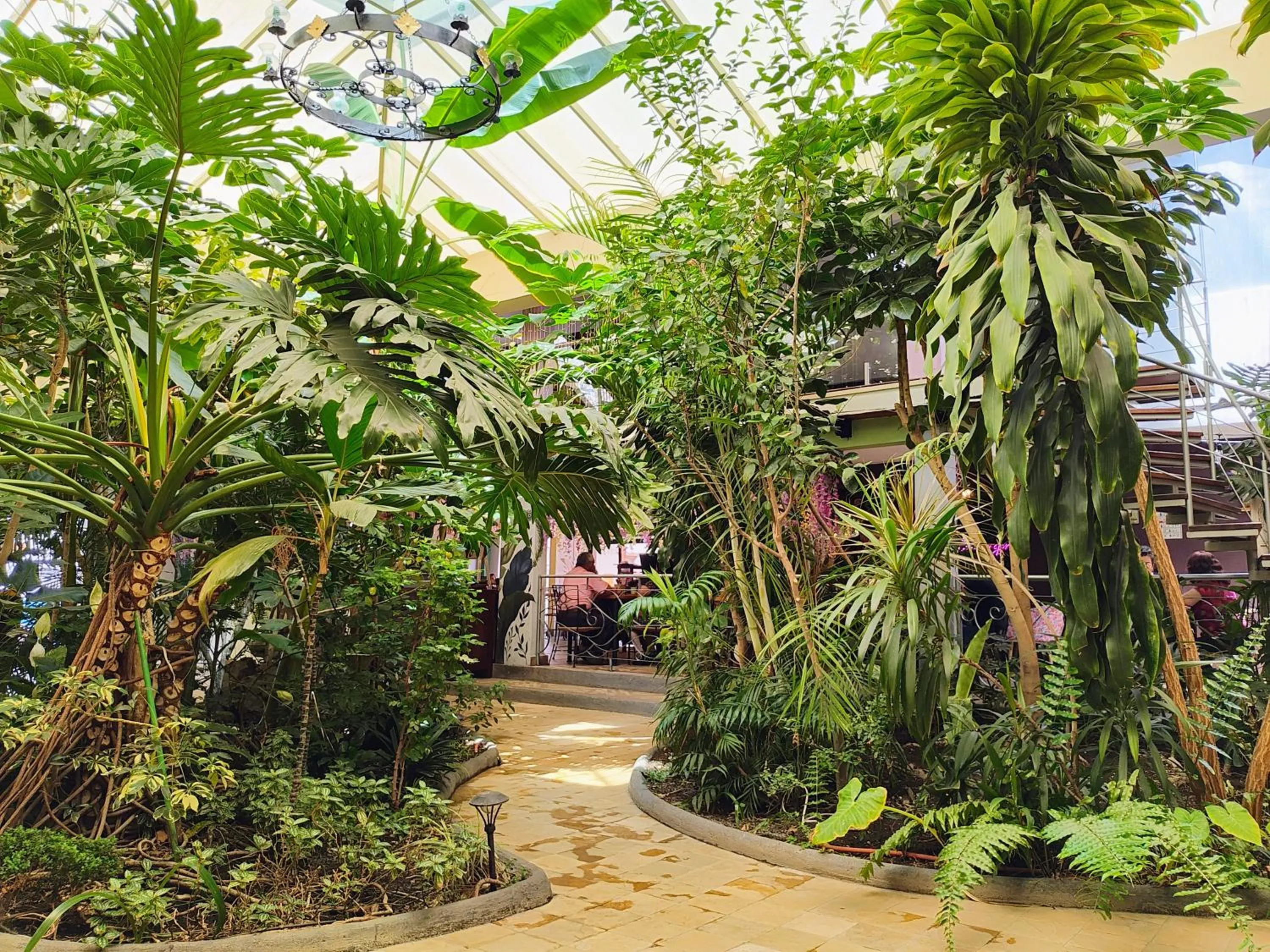 Hotel Jardines Centro