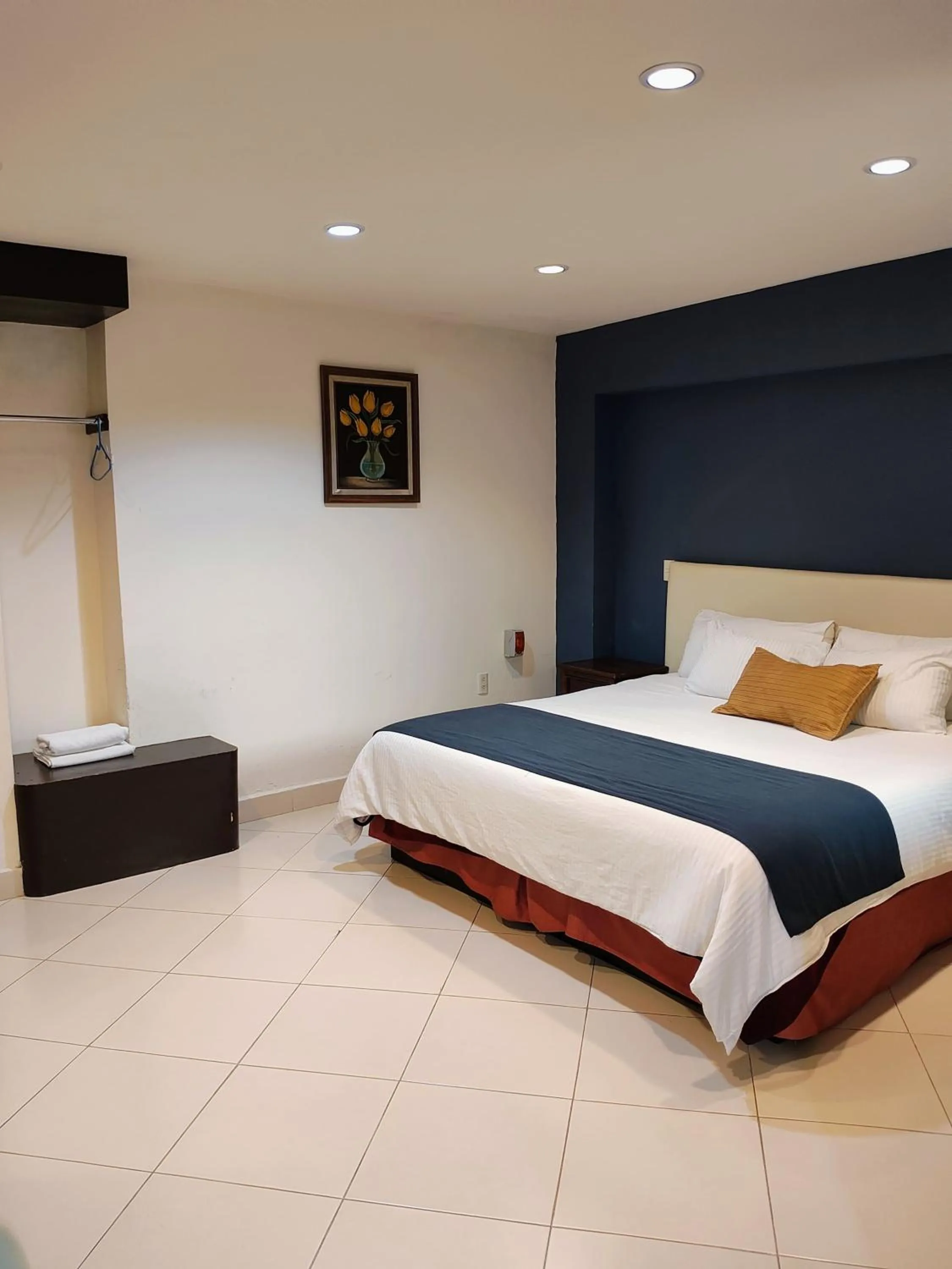 Hotel Jardines Centro