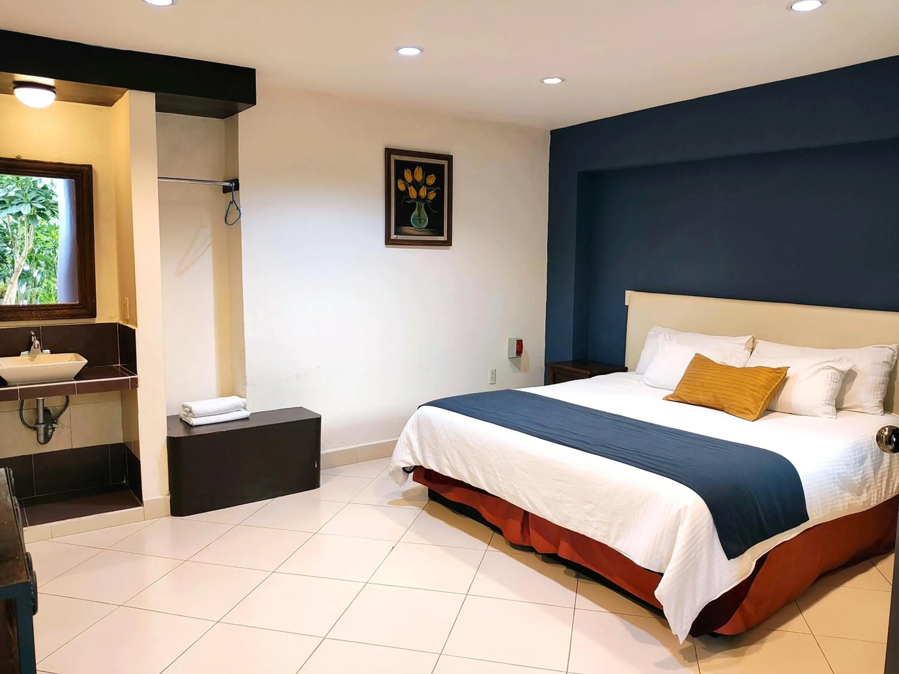 Hotel Jardines Centro