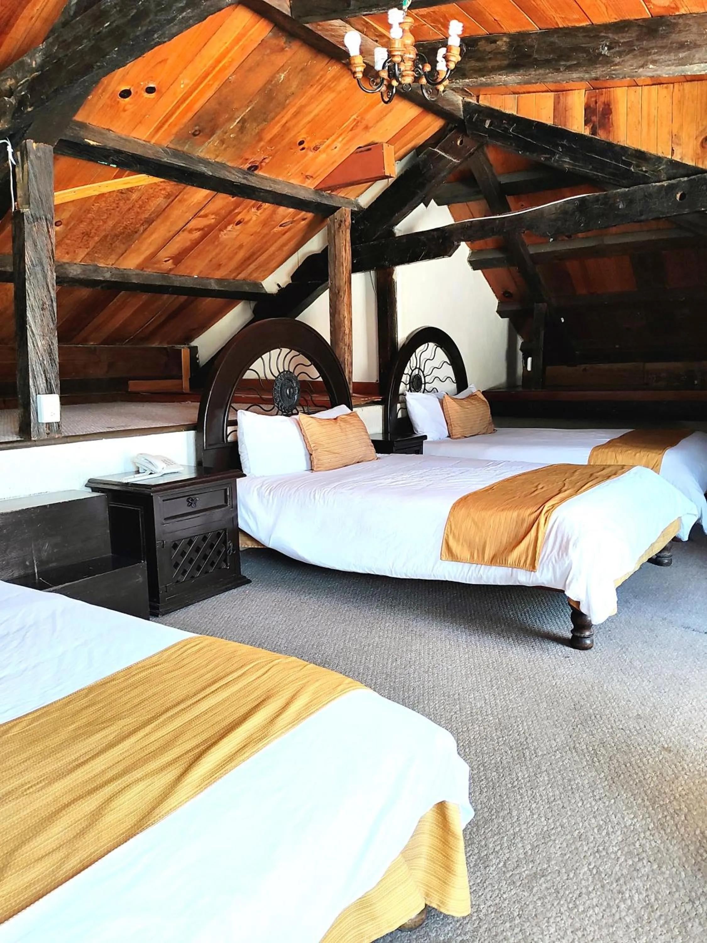 Hotel Jardines Centro