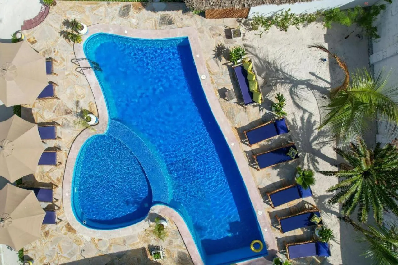 Pool view in Amber Lodge