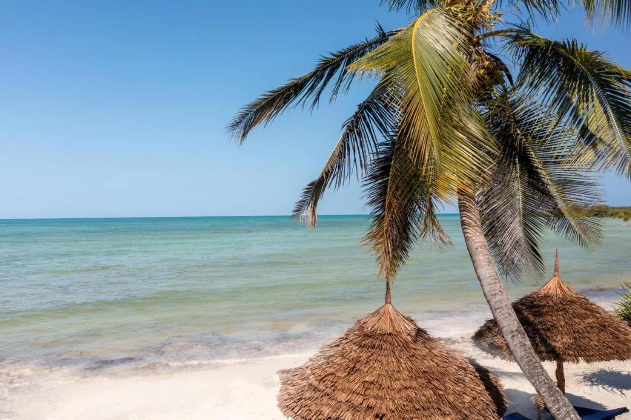 Natural landscape in Amber Lodge