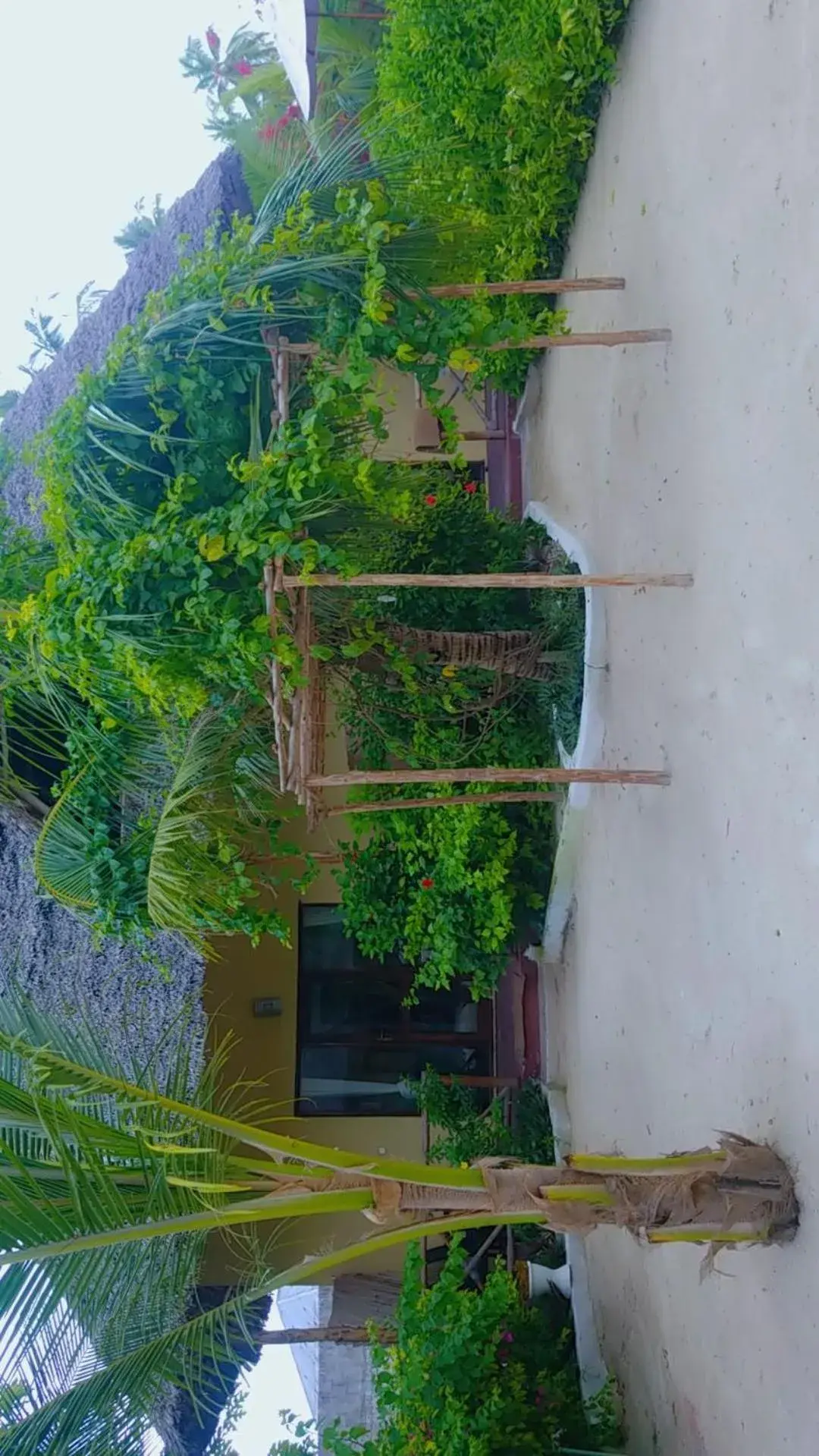 Garden view in Amber Lodge Garden view in Amber Lodge