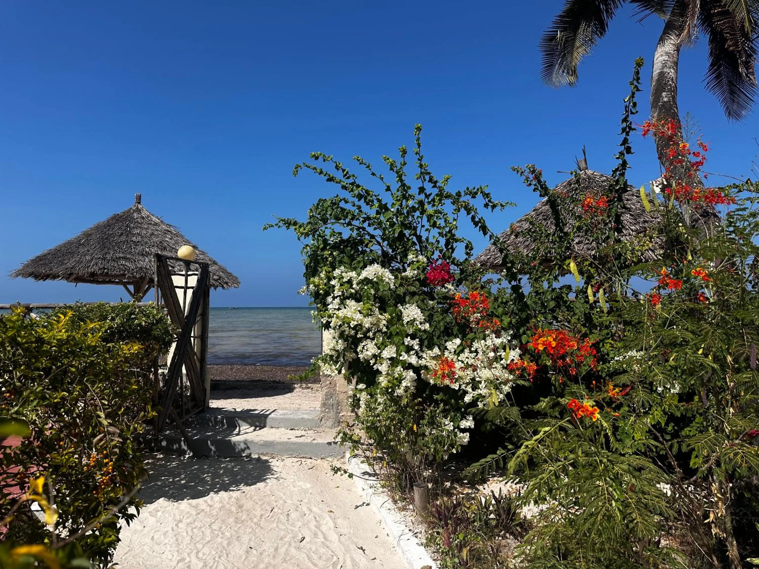 Moayana Liora Zanzibar