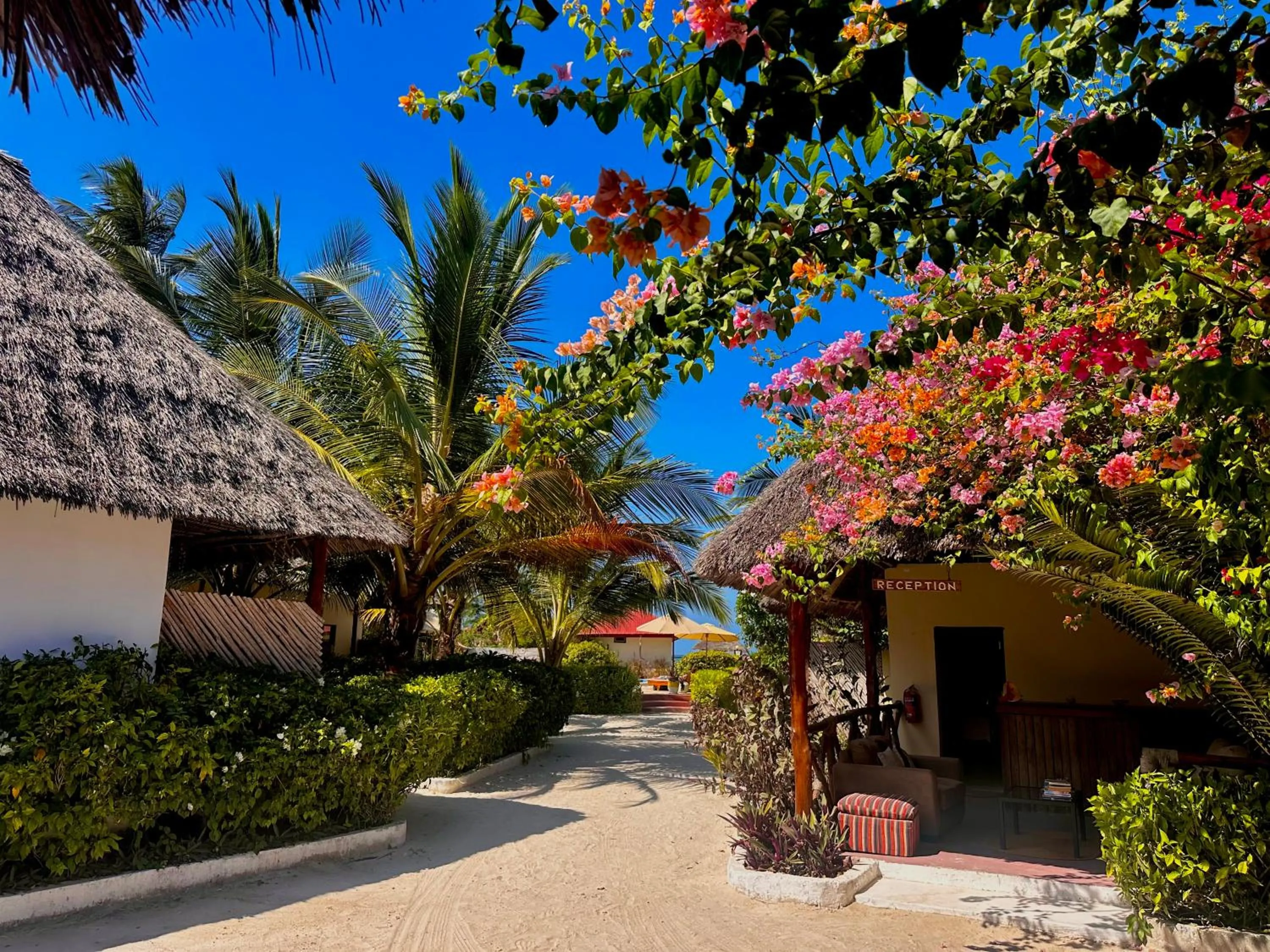 Moayana Liora Zanzibar