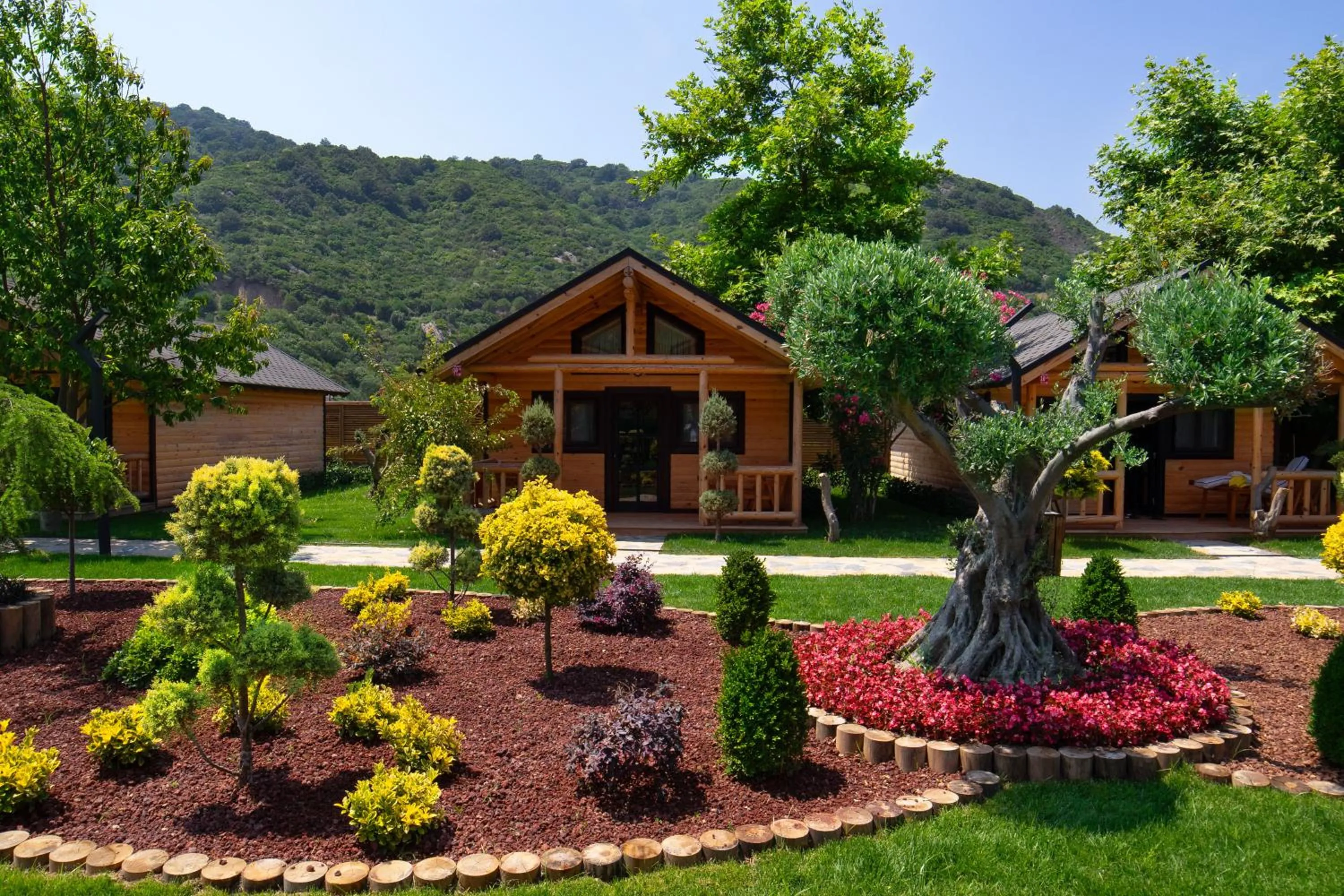 Day in MUKHA ORMANLI