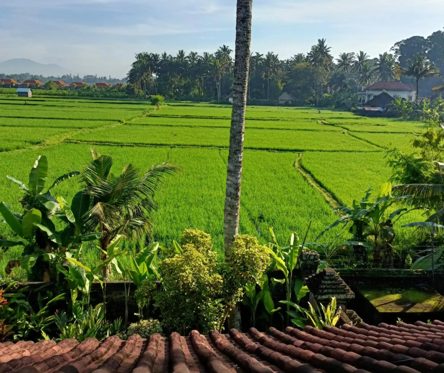 Natural landscape in RUNA House Of Design