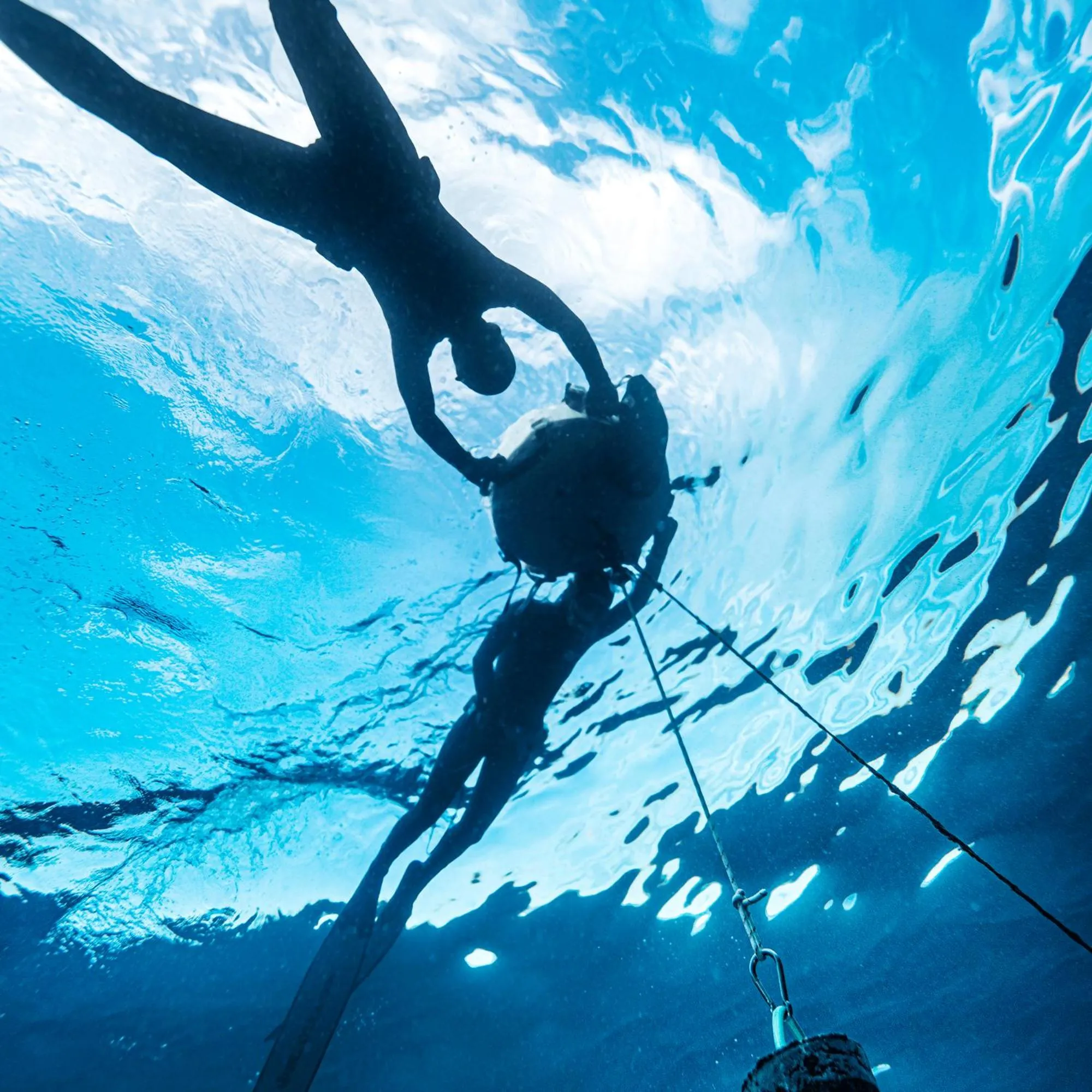 Dive & Dwell Tulamben