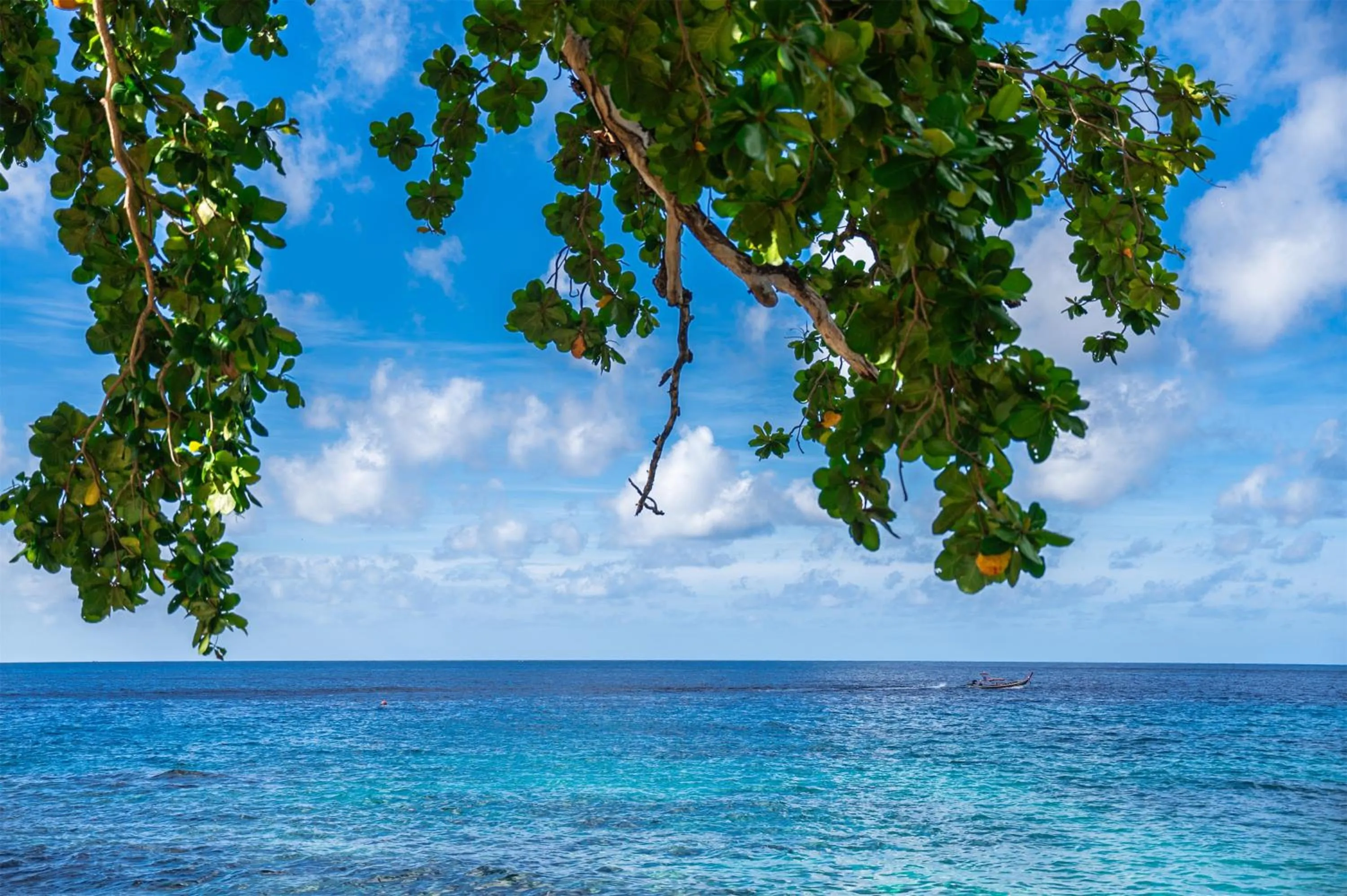 Natural landscape in Ban Raya Resort and Spa