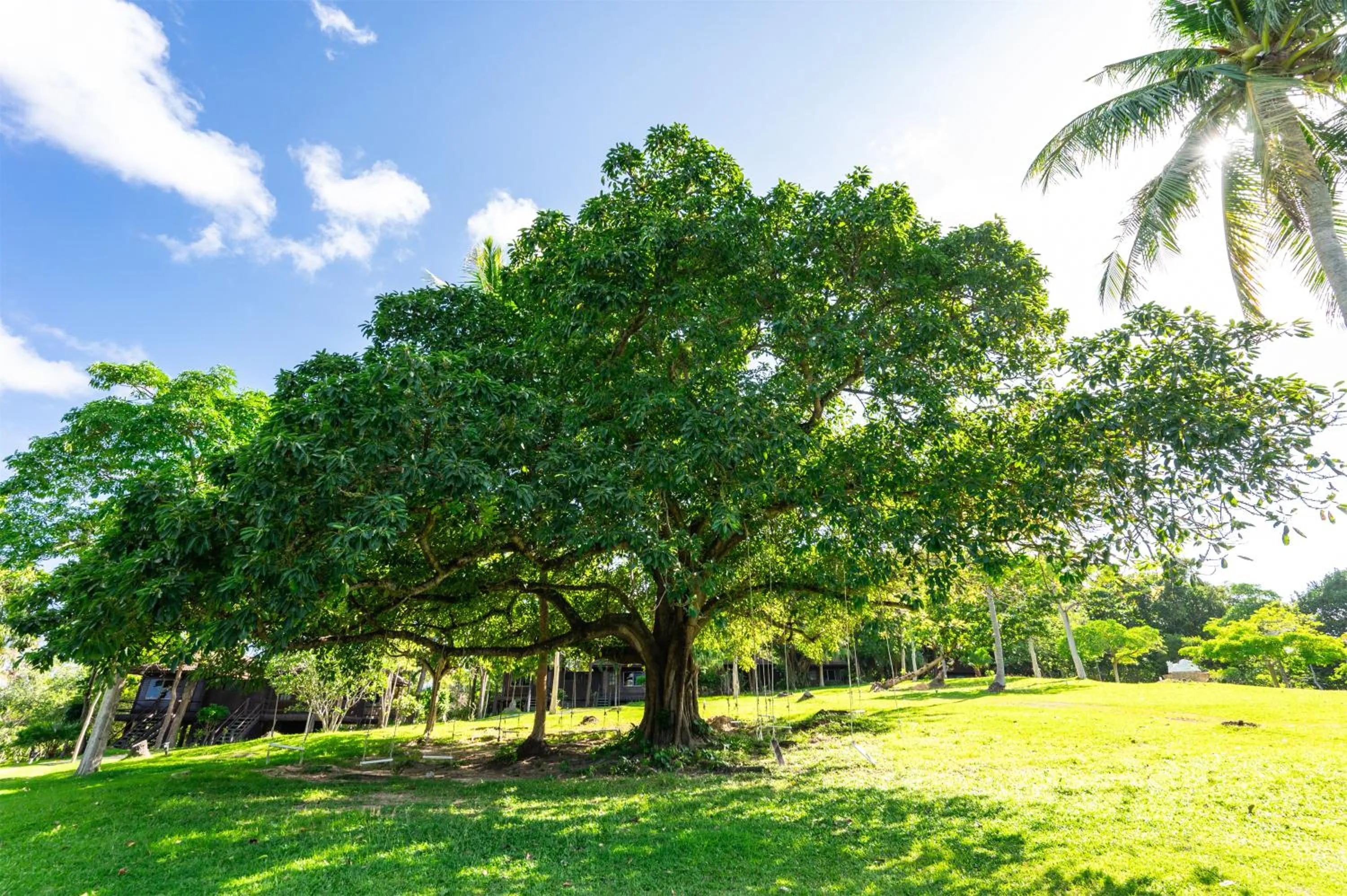 Natural landscape in Ban Raya Resort and Spa