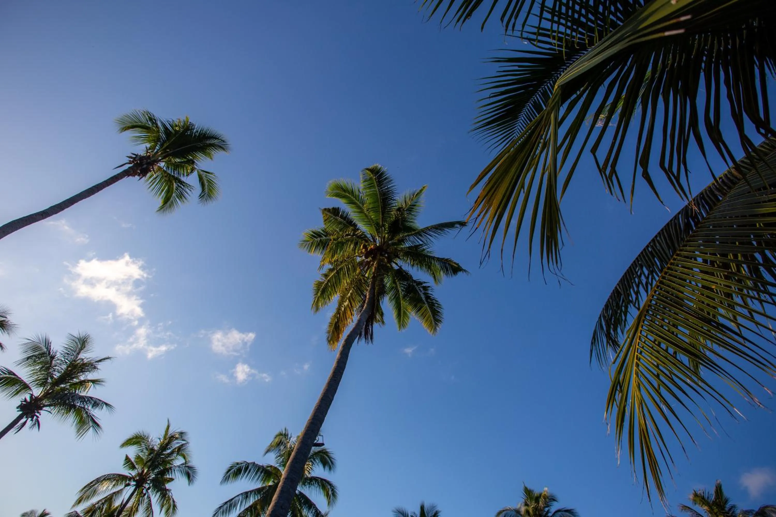 Garden in Ban Raya Resort and Spa