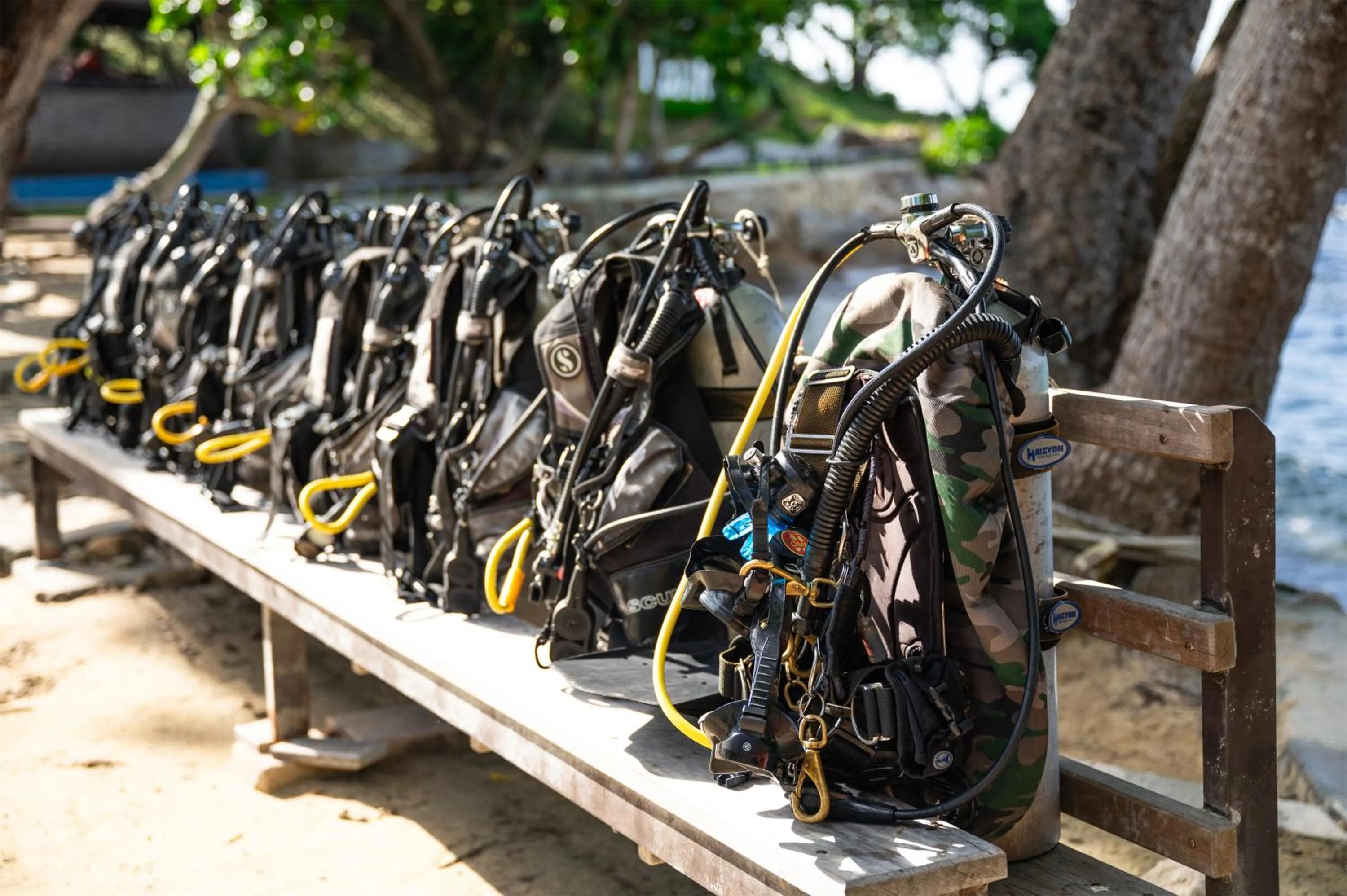 Diving in Ban Raya Resort and Spa