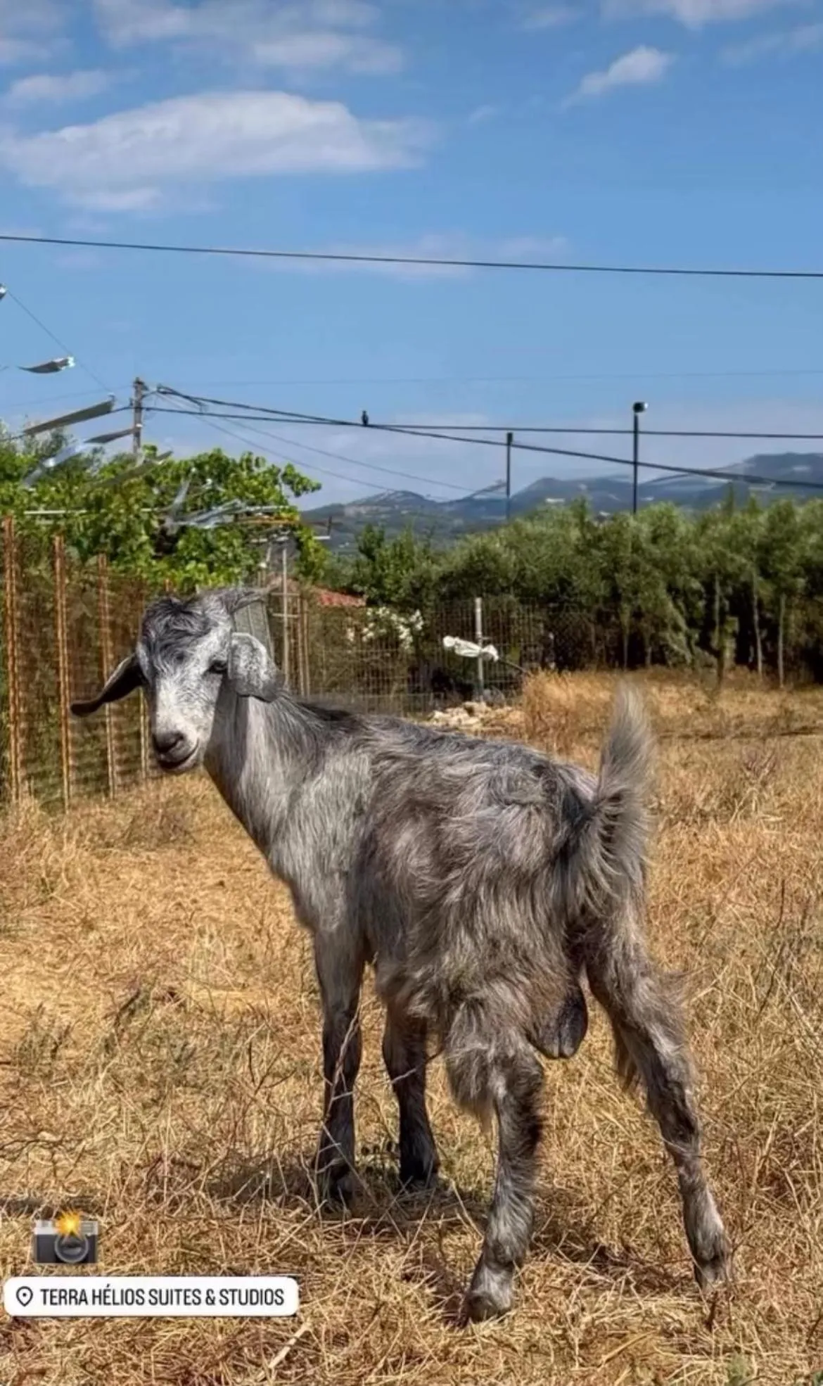 Activities in Terra Hélios Suites & Studios