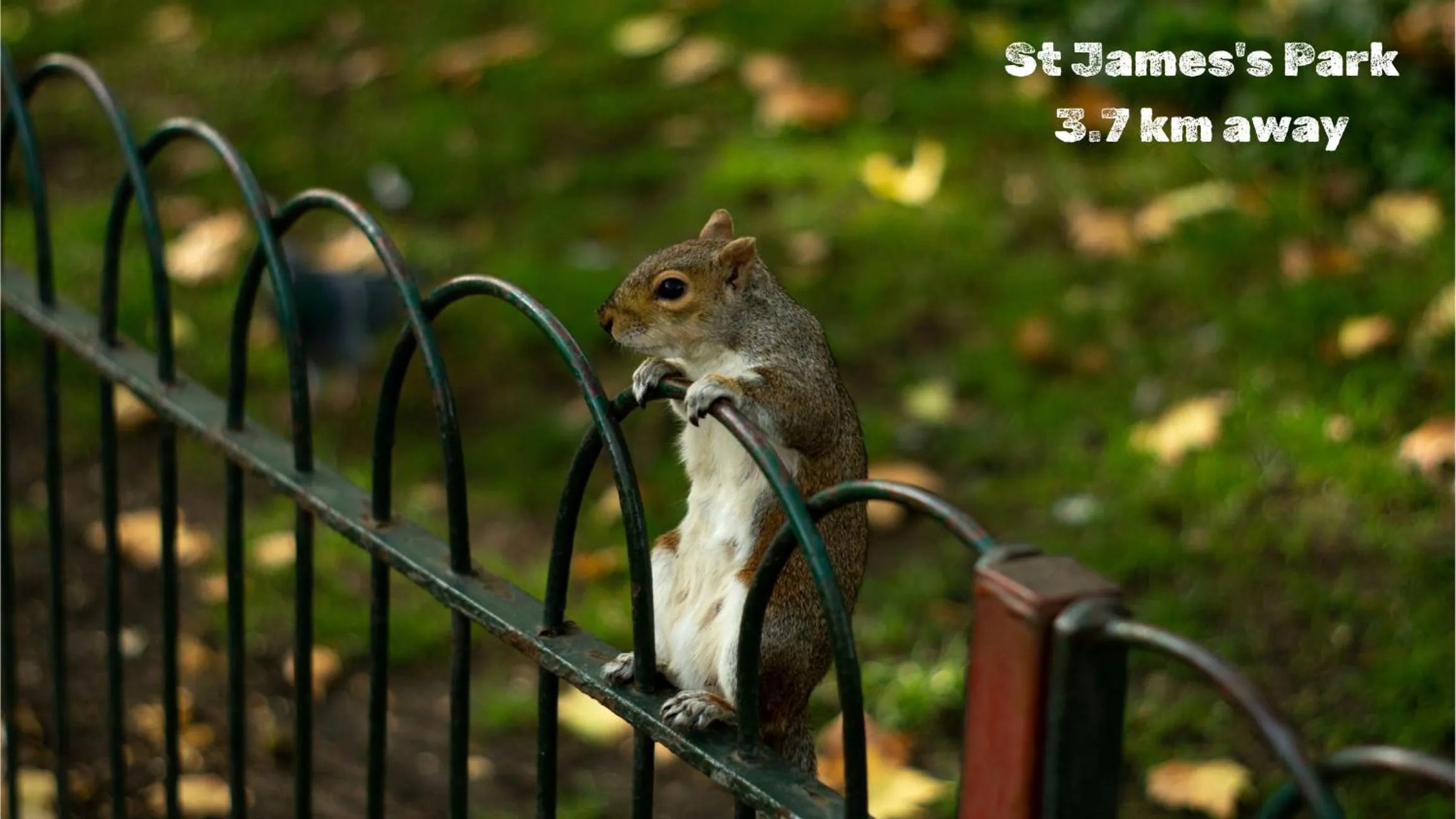 Nearby landmark in 54 Queen's Gate Hotel