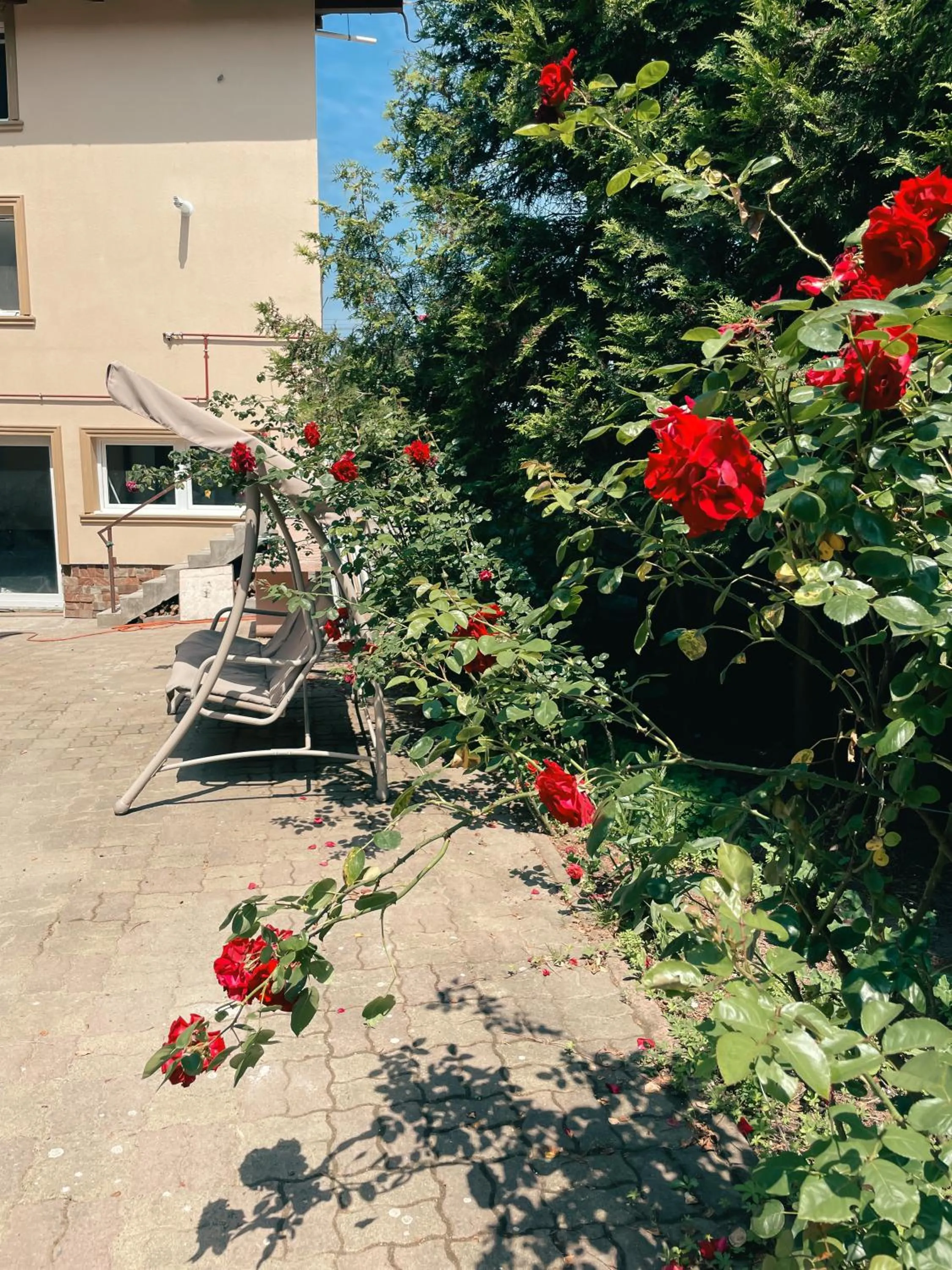 Garden in Cozy Glen - Private Villa, Parking and BBQ