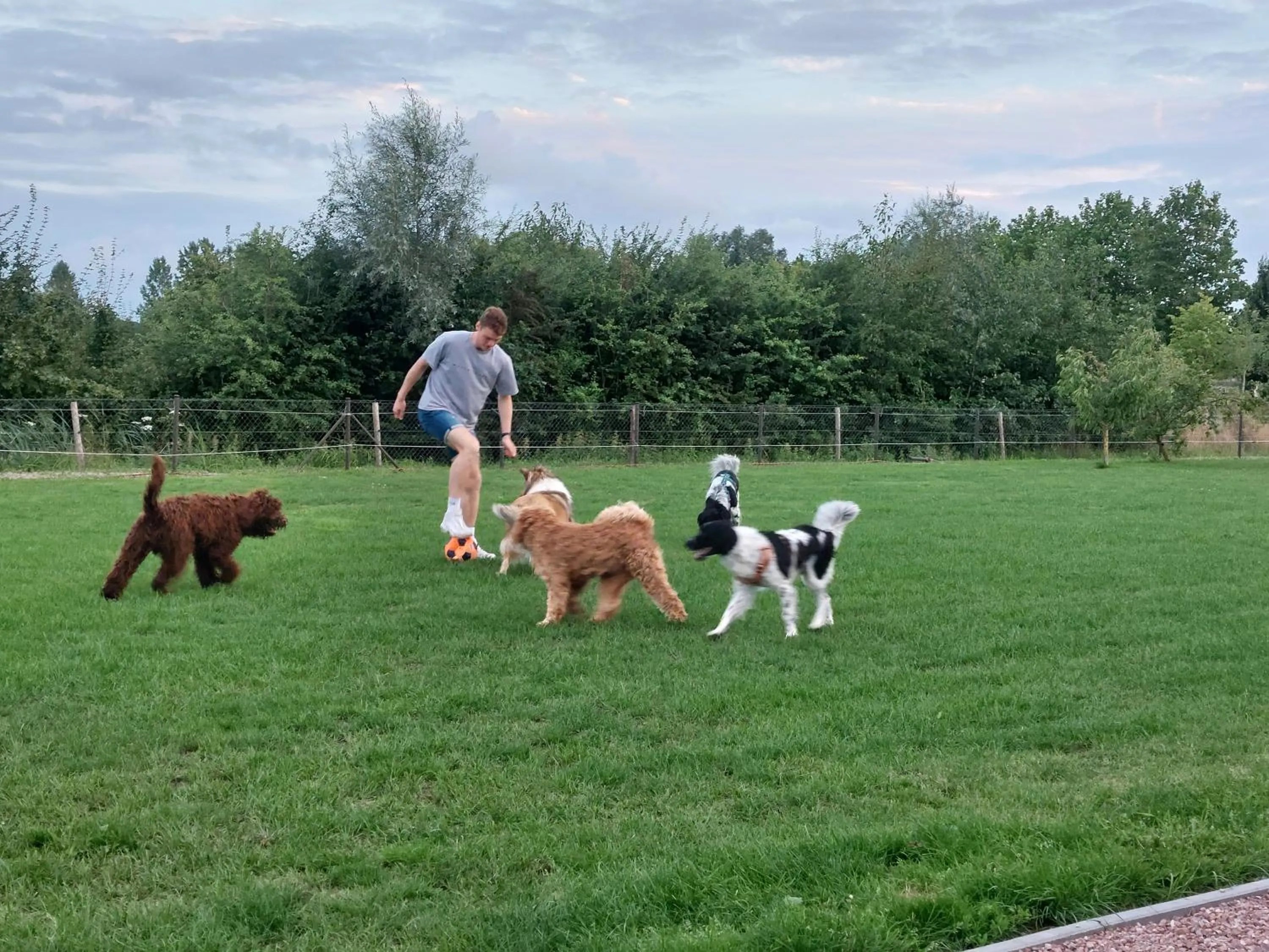 Summer in B&B Finis terrae with wellness