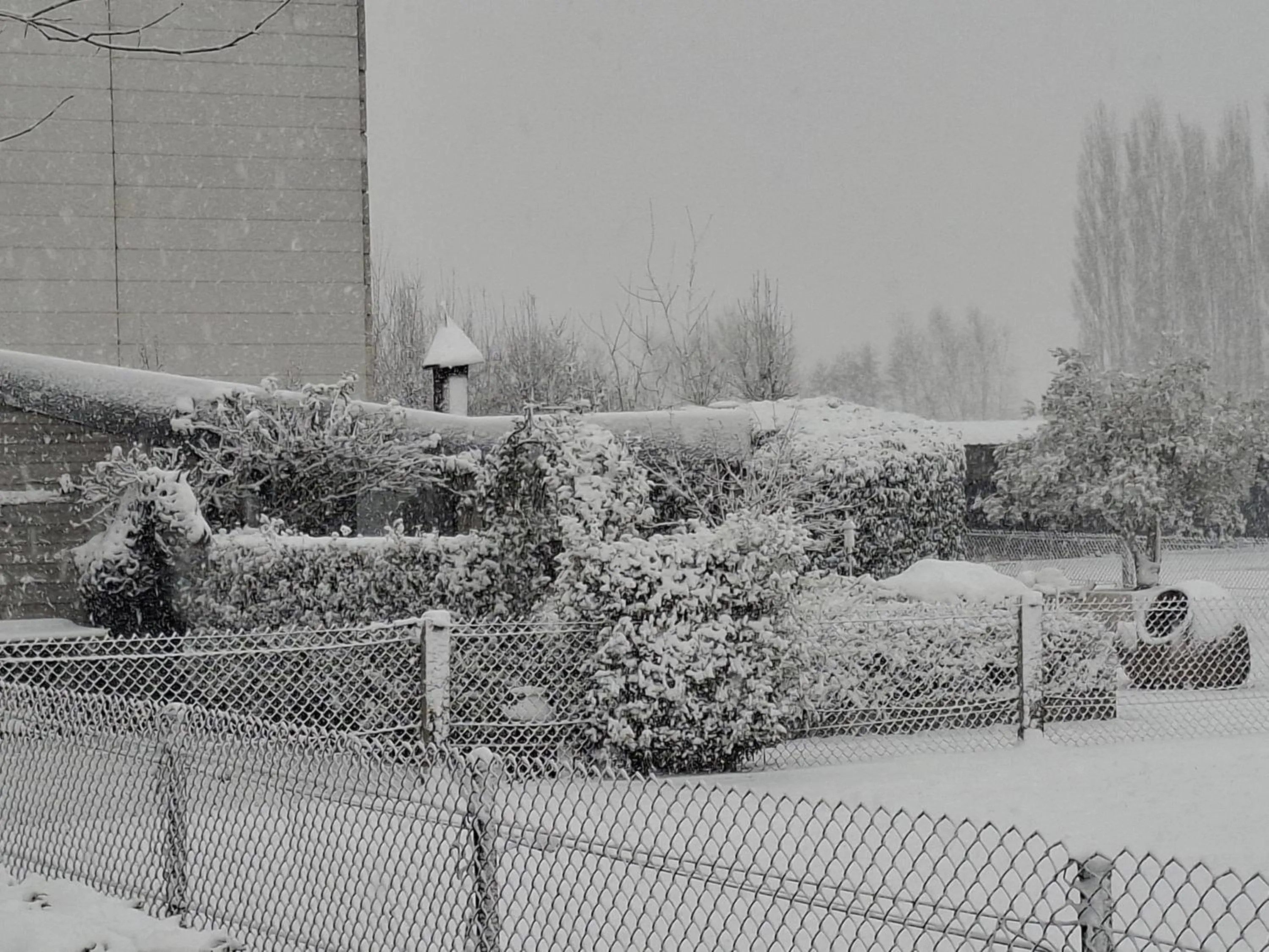 Winter in B&B Finis terrae with wellness