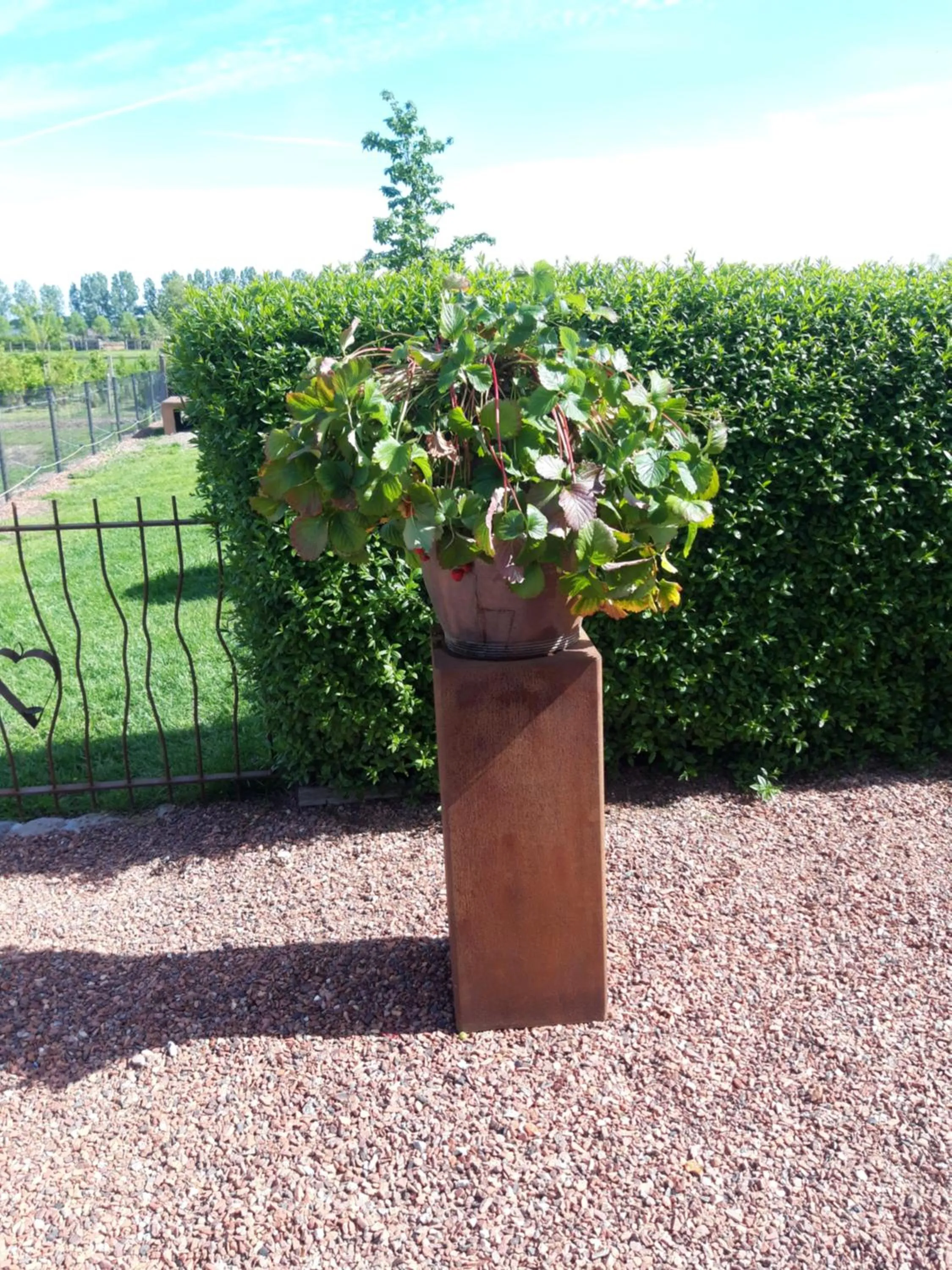 Decorative detail in B&B Finis terrae with wellness