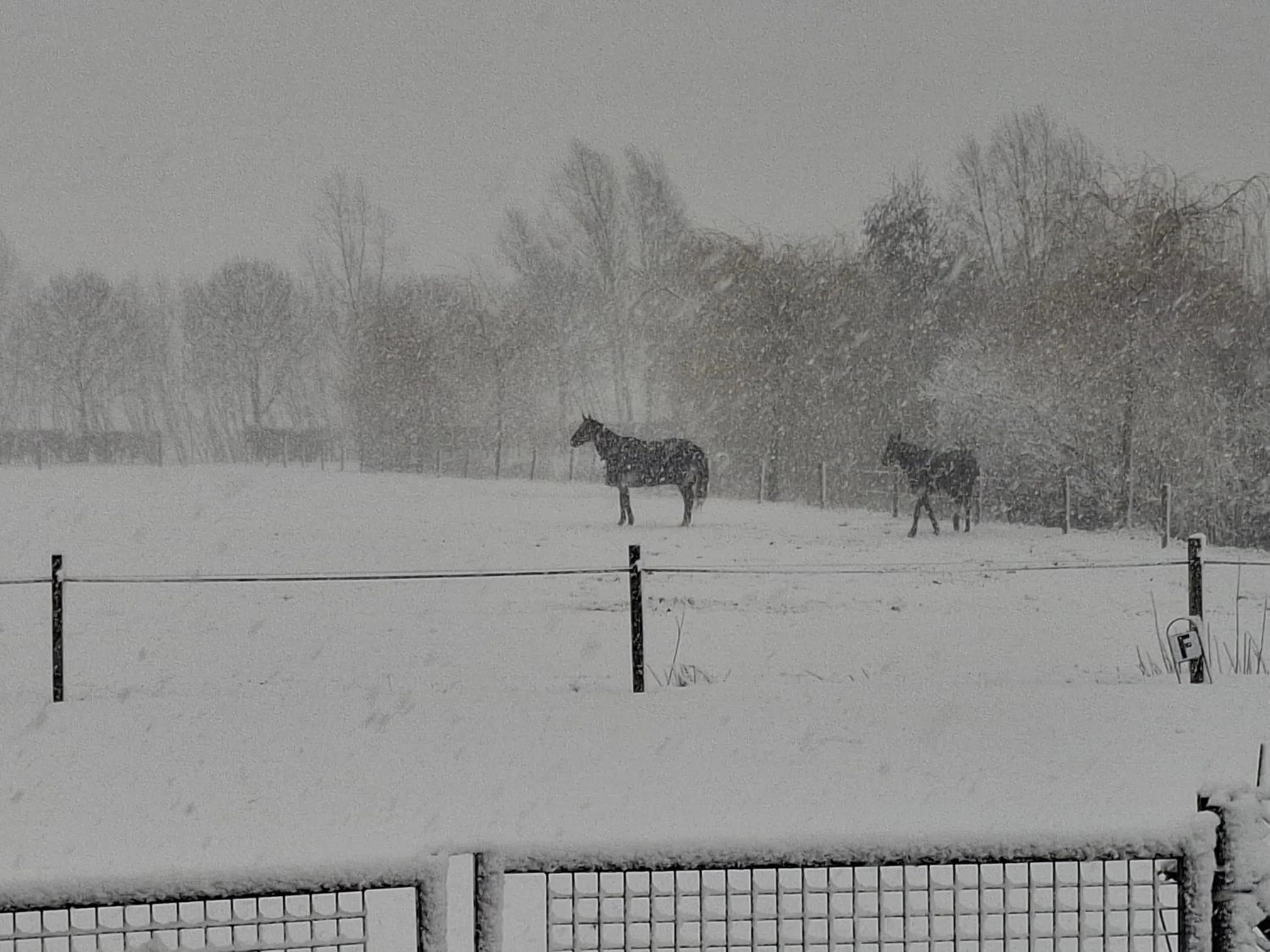 Winter in B&B Finis terrae with wellness