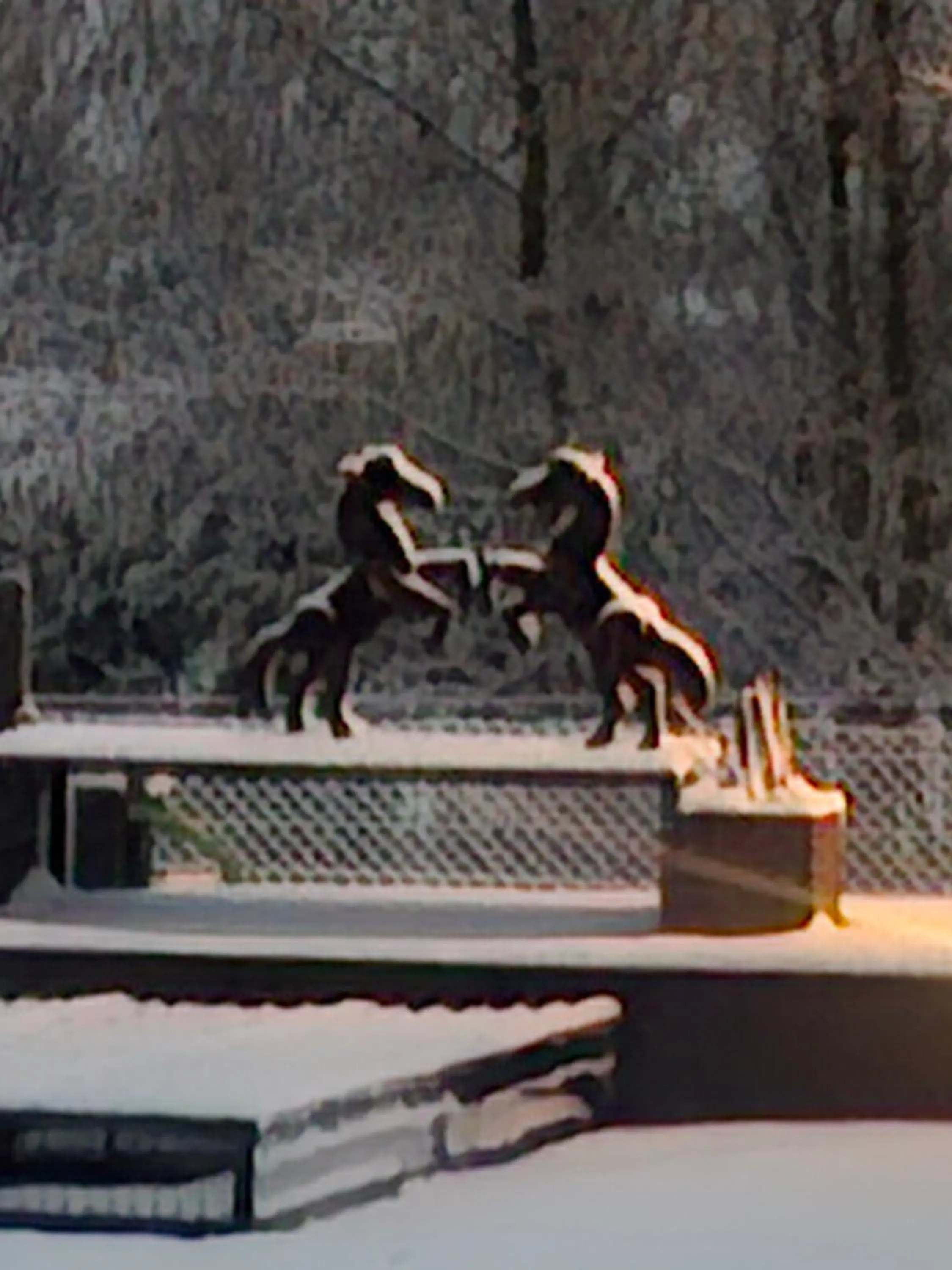 Winter in B&B Finis terrae with wellness