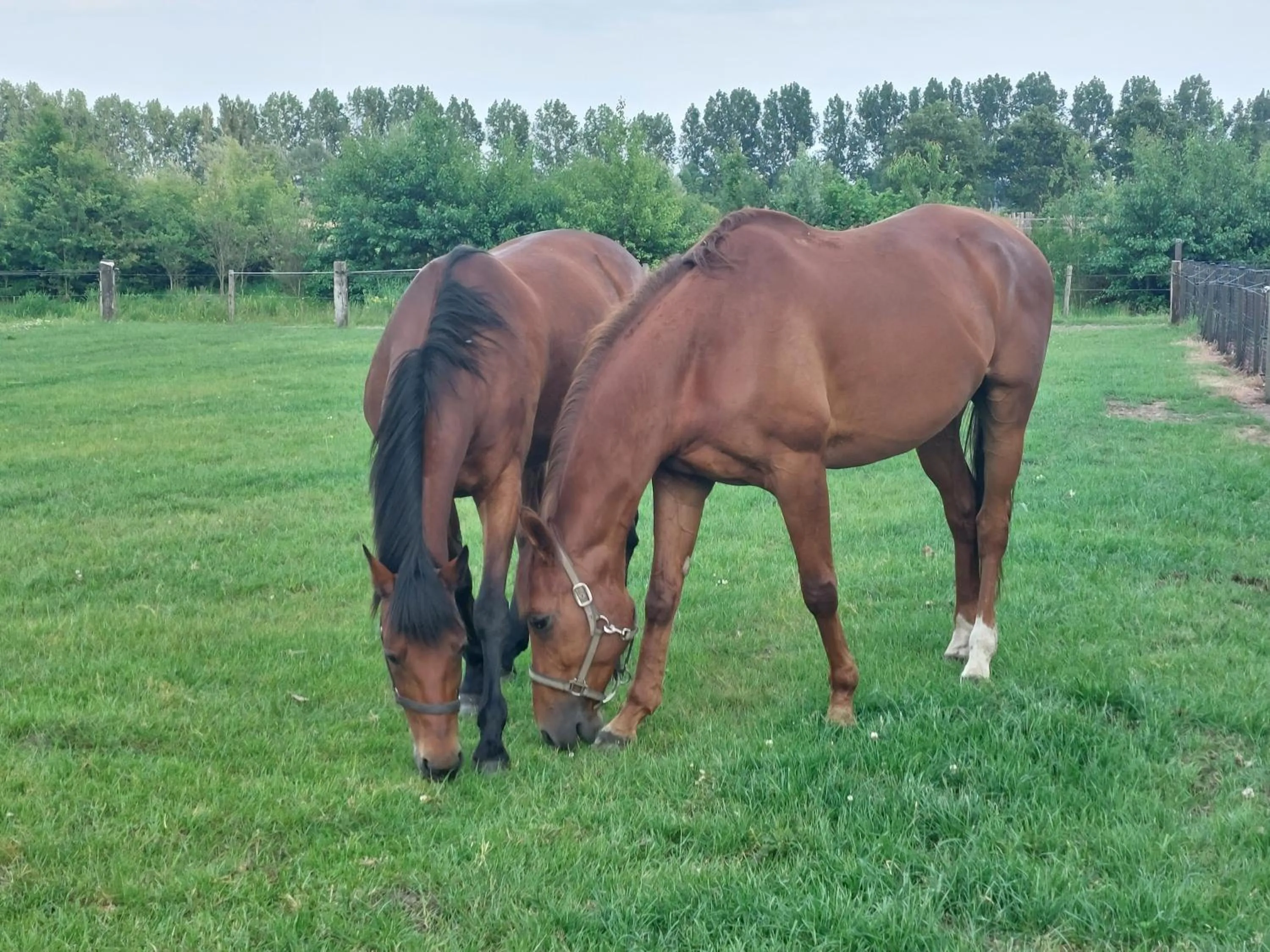 View (from property/room) in B&B Finis terrae with wellness