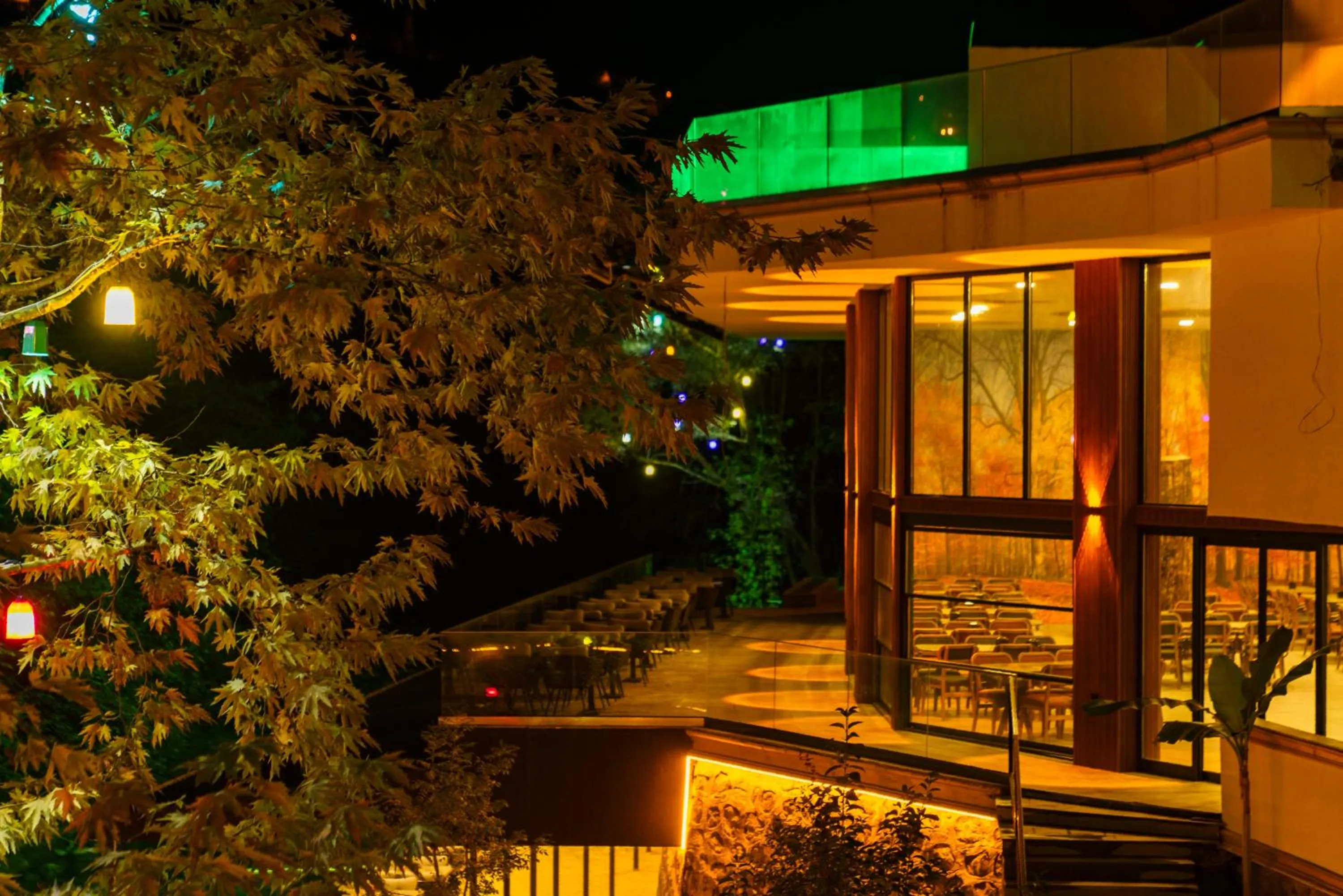 Restaurant/places to eat in Macartaşı Hotel