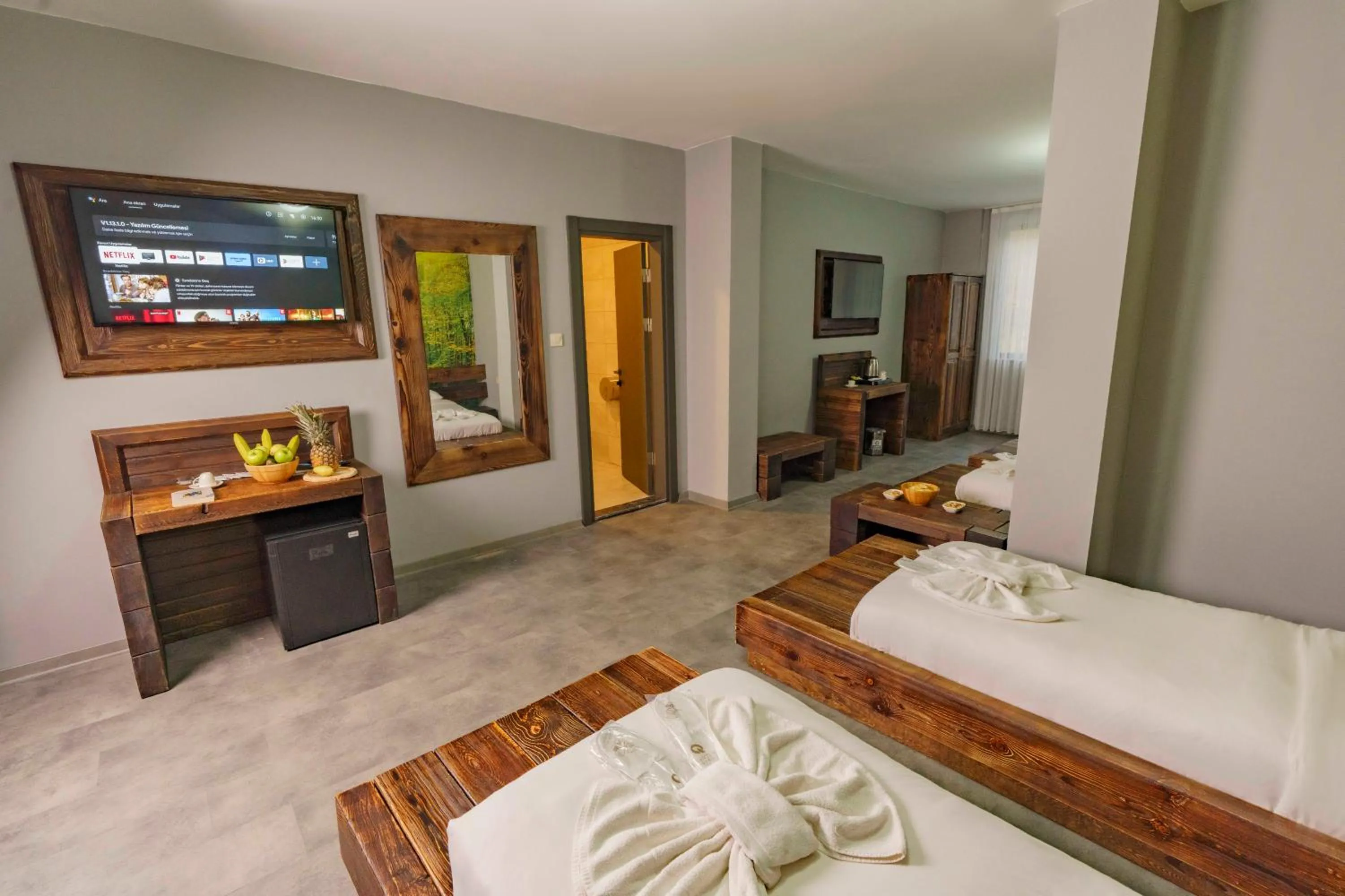 TV and multimedia in Macartaşı Hotel