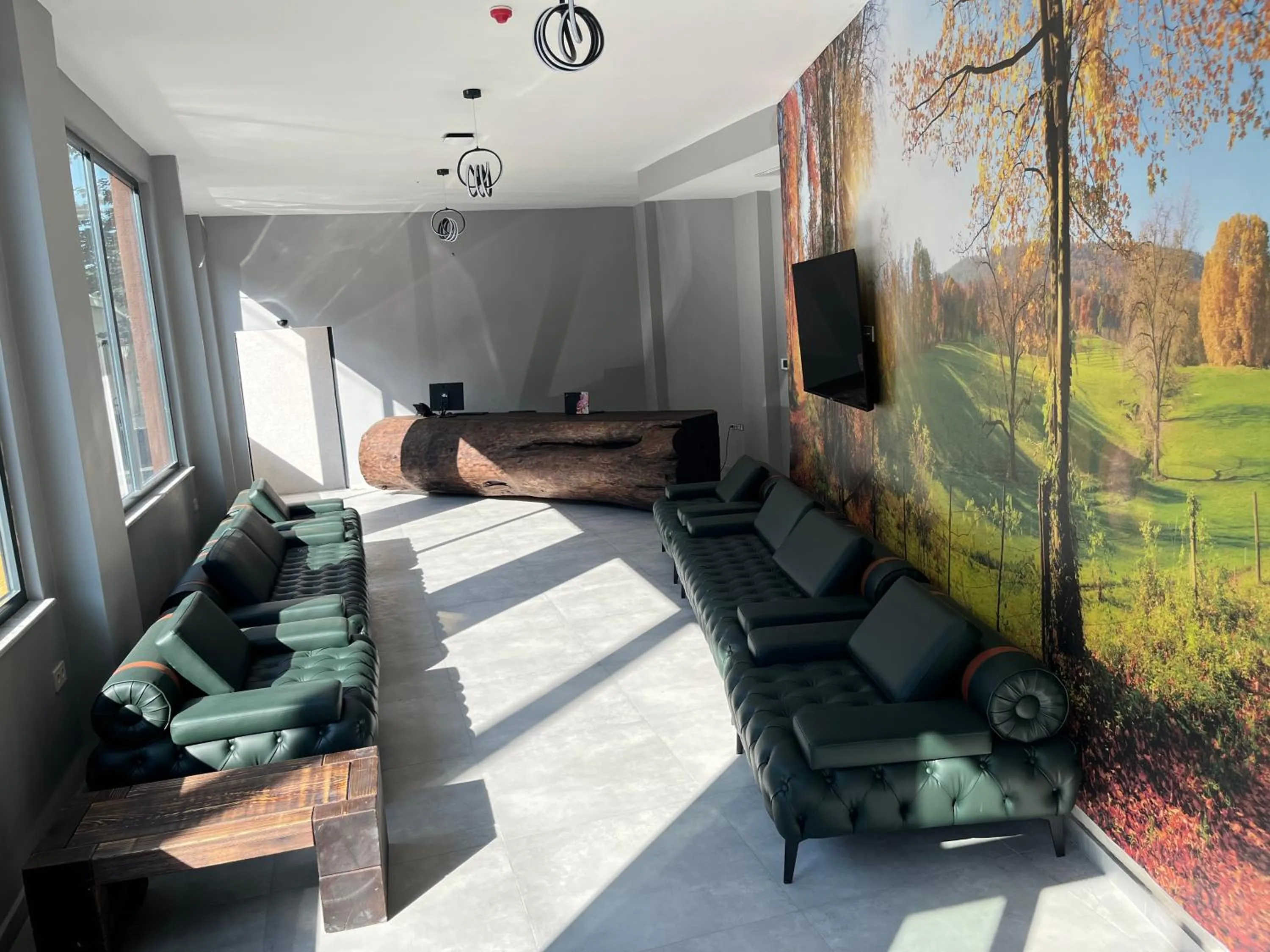 Lobby or reception in Macartaşı Hotel