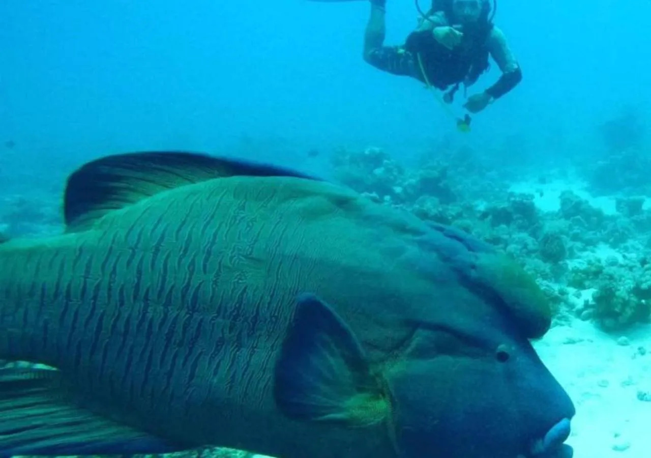 People in Al Dora Residence Suites Hurghada