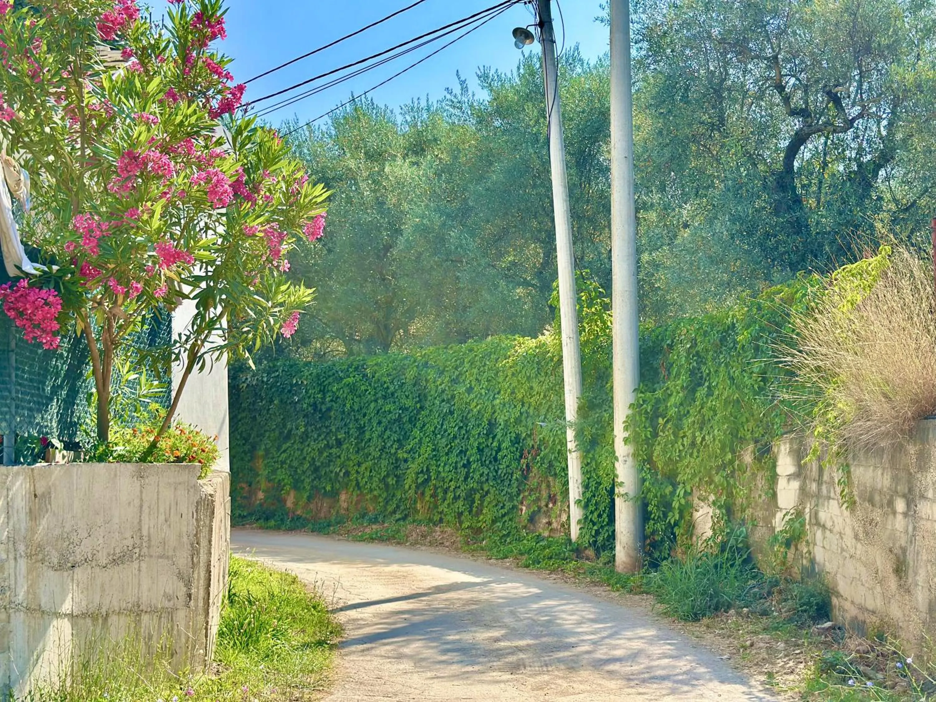 Day in Akhdar Apartments