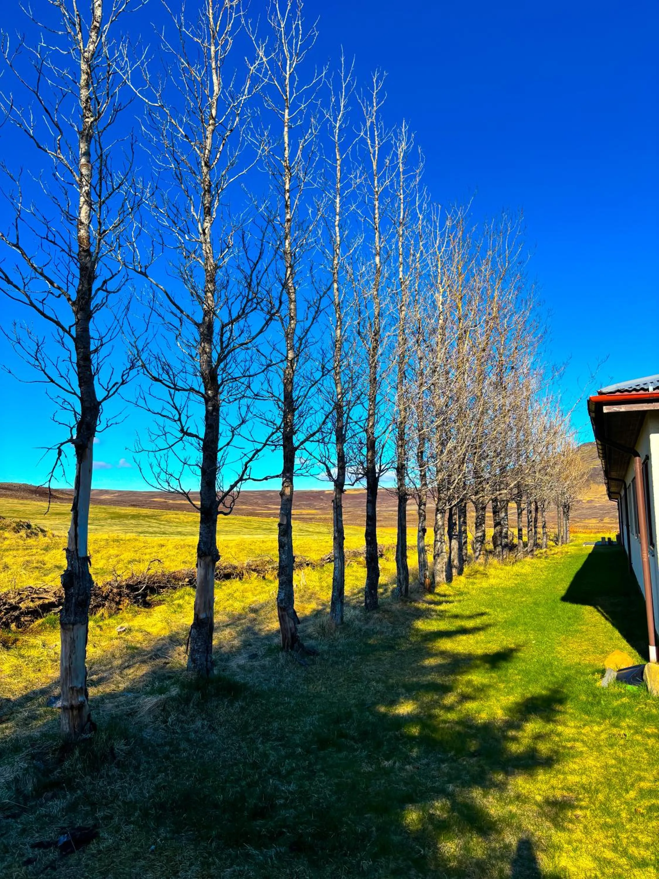 Natural landscape in Hotel Brú countryside