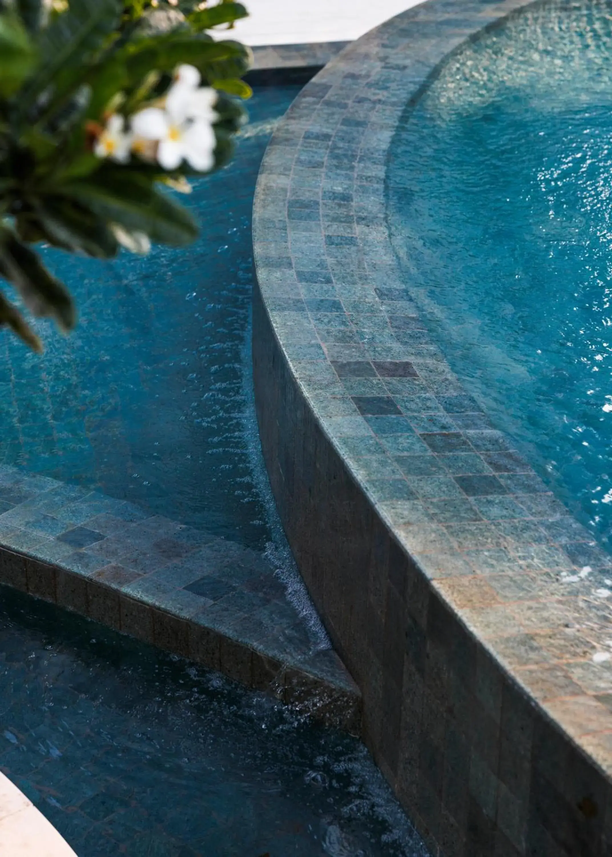 Swimming pool in One&Only One Za'abeel Swimming pool in One&Only One Za'abeel
