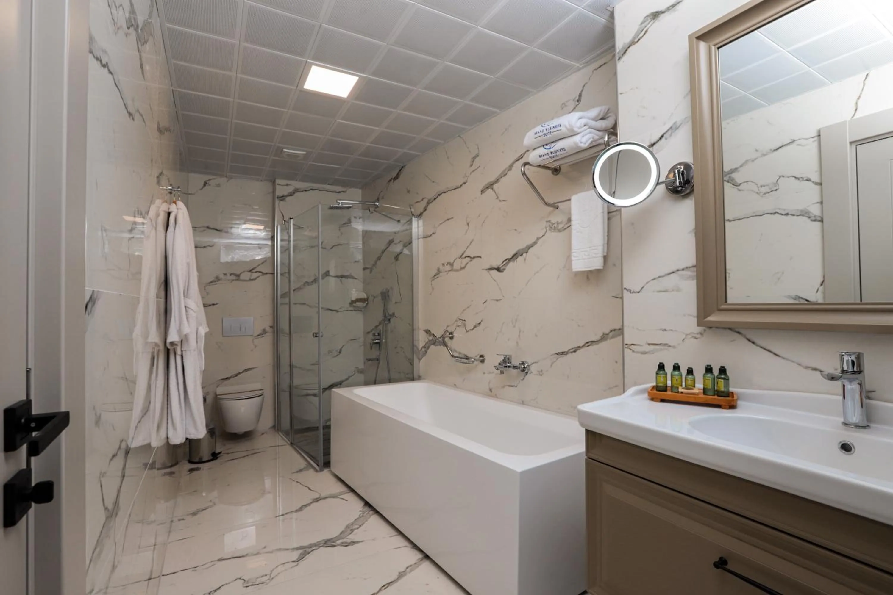 Bath in Brand Business Hotel