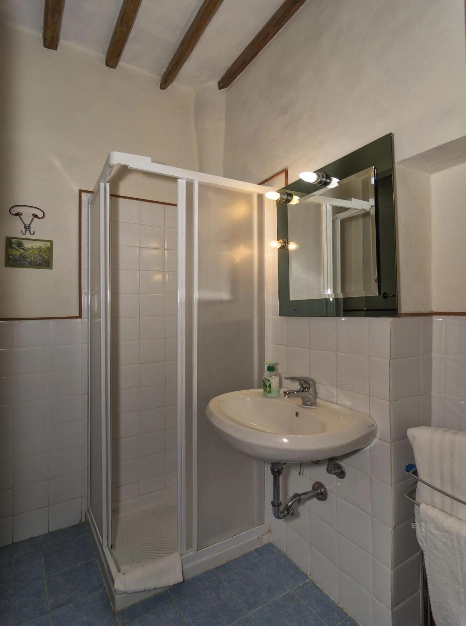 Shower in B&B Due Borghi
