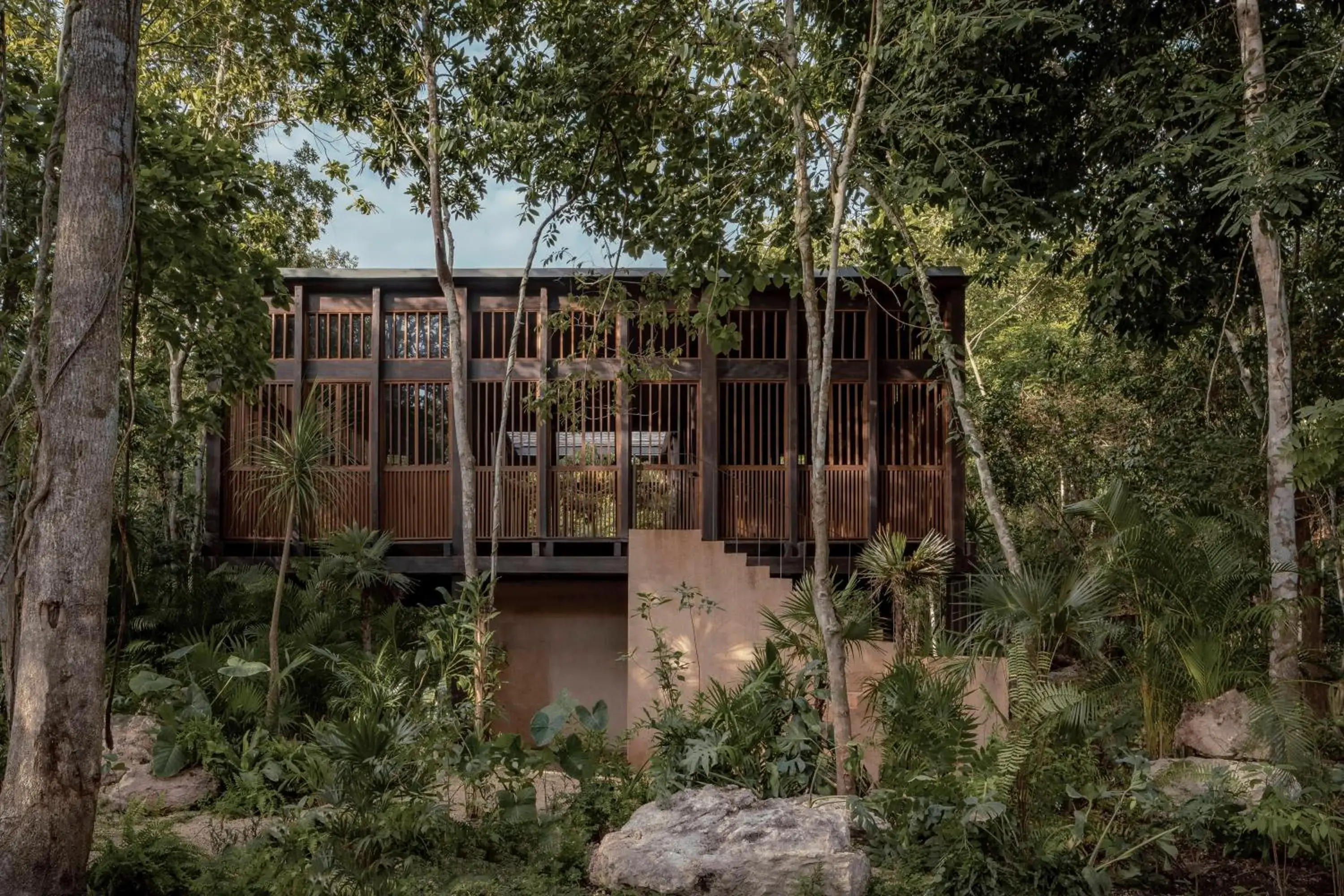 Garden view in Boca de Agua Bacalar Garden view in Boca de Agua Bacalar