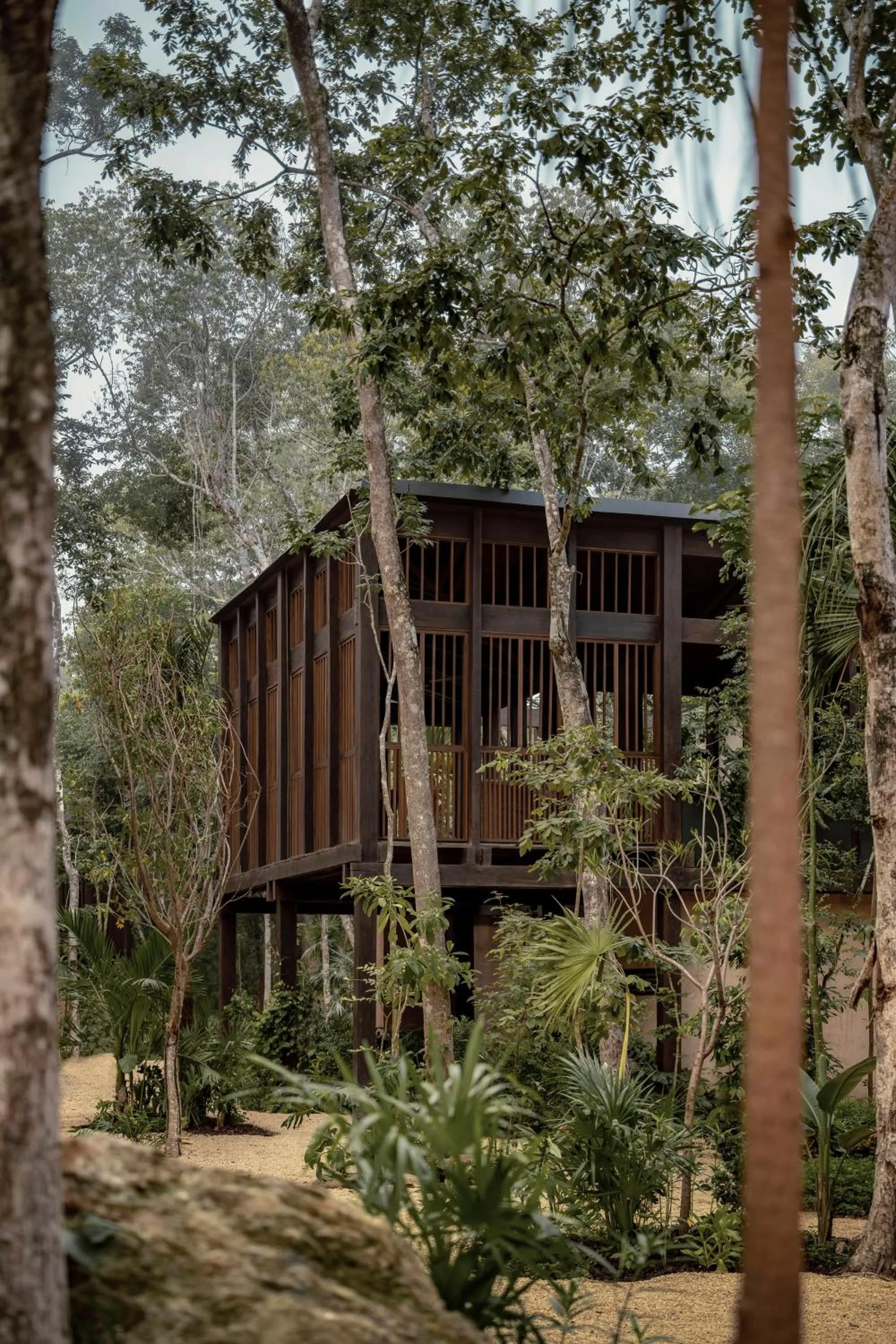Garden view in Boca de Agua Bacalar