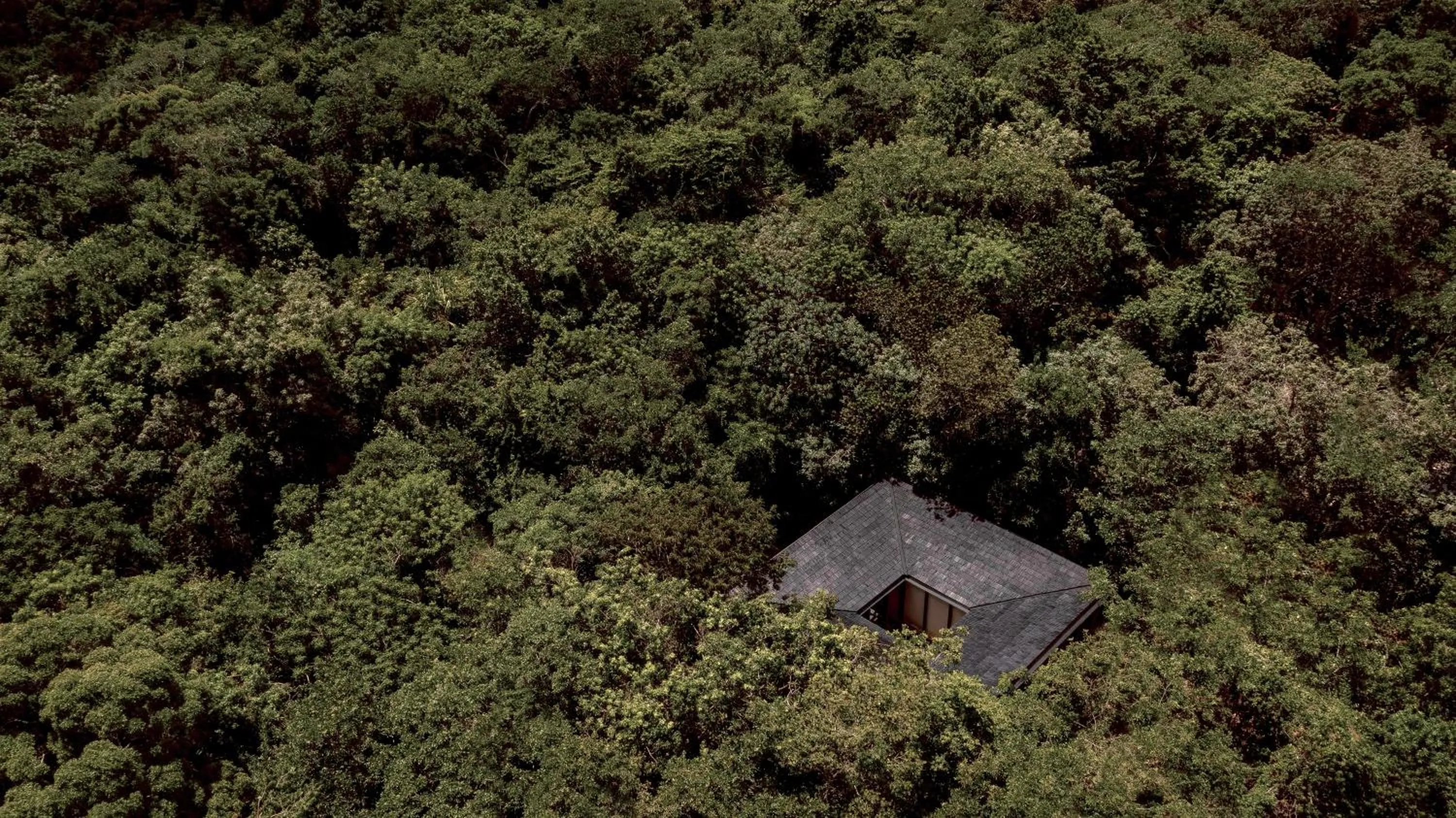Bird's eye view in Boca de Agua Bacalar