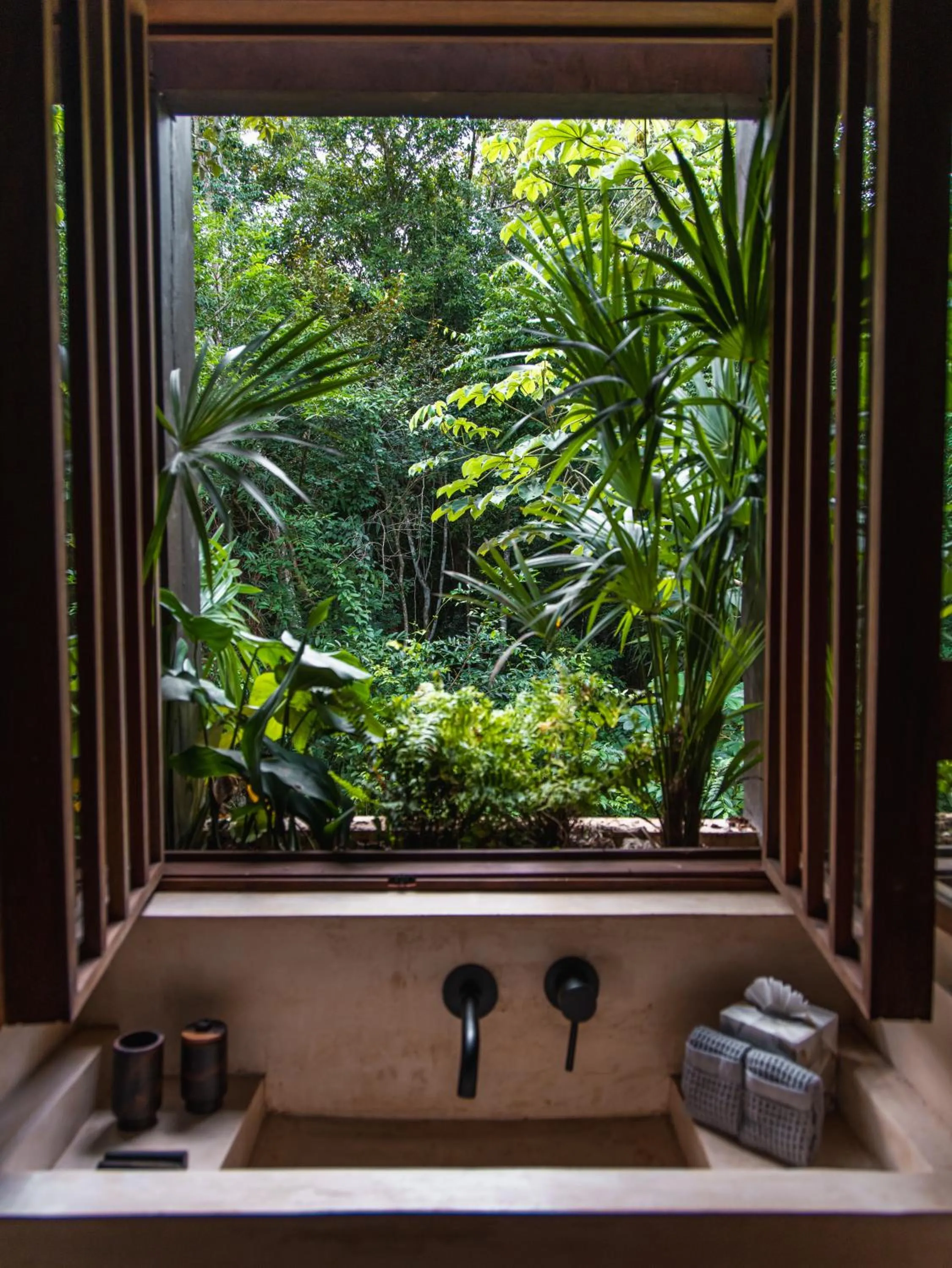 Natural landscape in Boca de Agua Bacalar