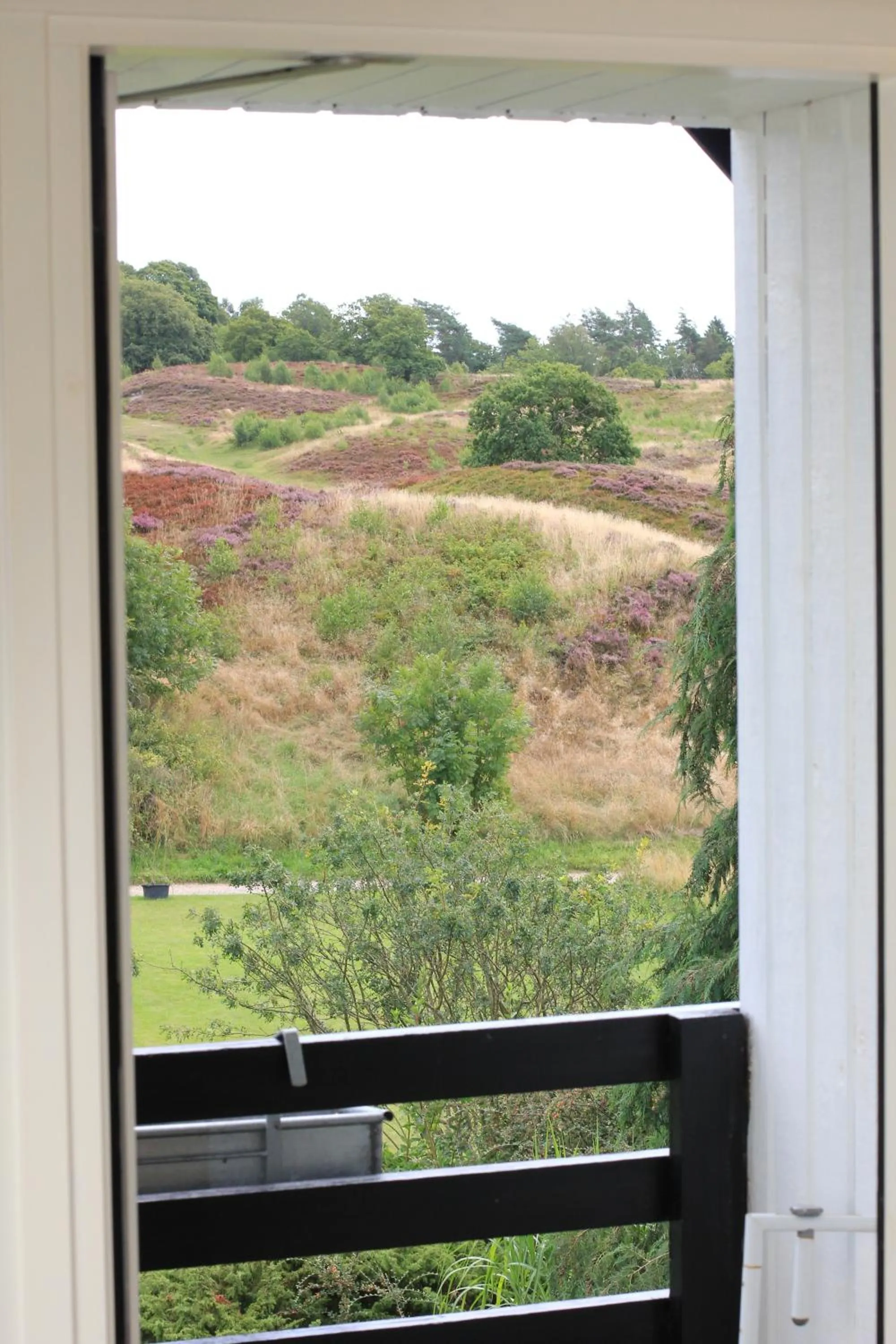 Photo of the whole room in Lyng Dal Hotel og Restaurant