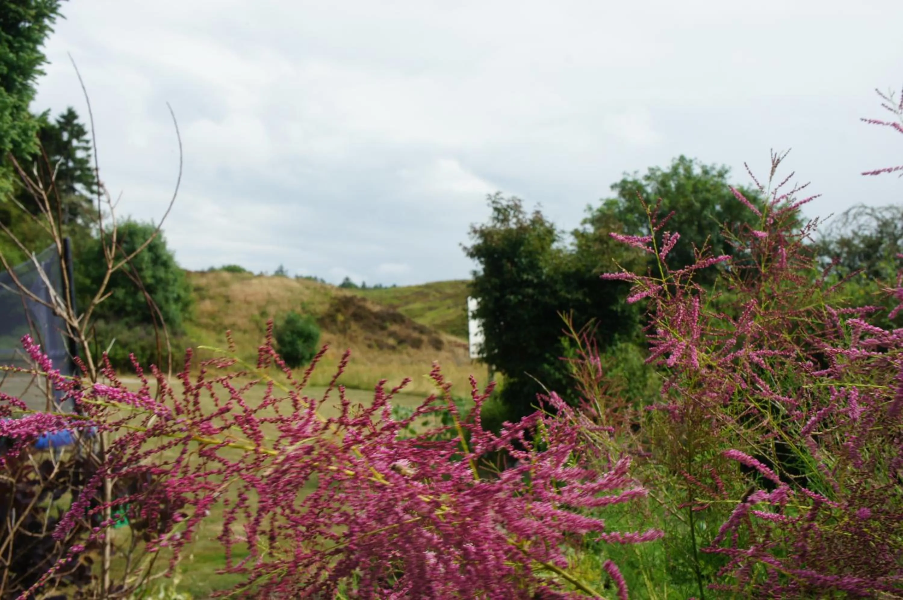 Area and facilities in Lyng Dal Hotel og Restaurant