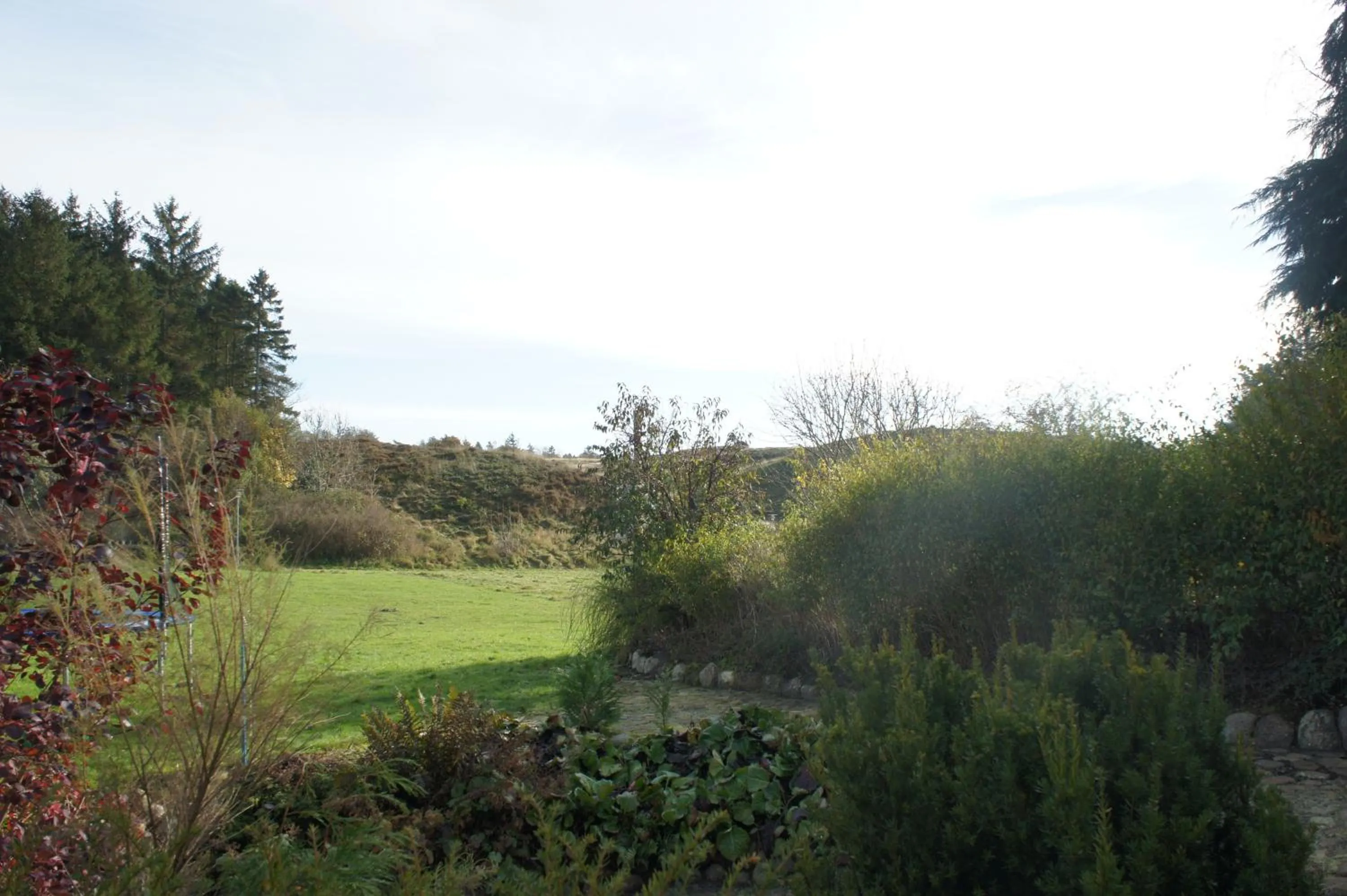 Area and facilities in Lyng Dal Hotel og Restaurant