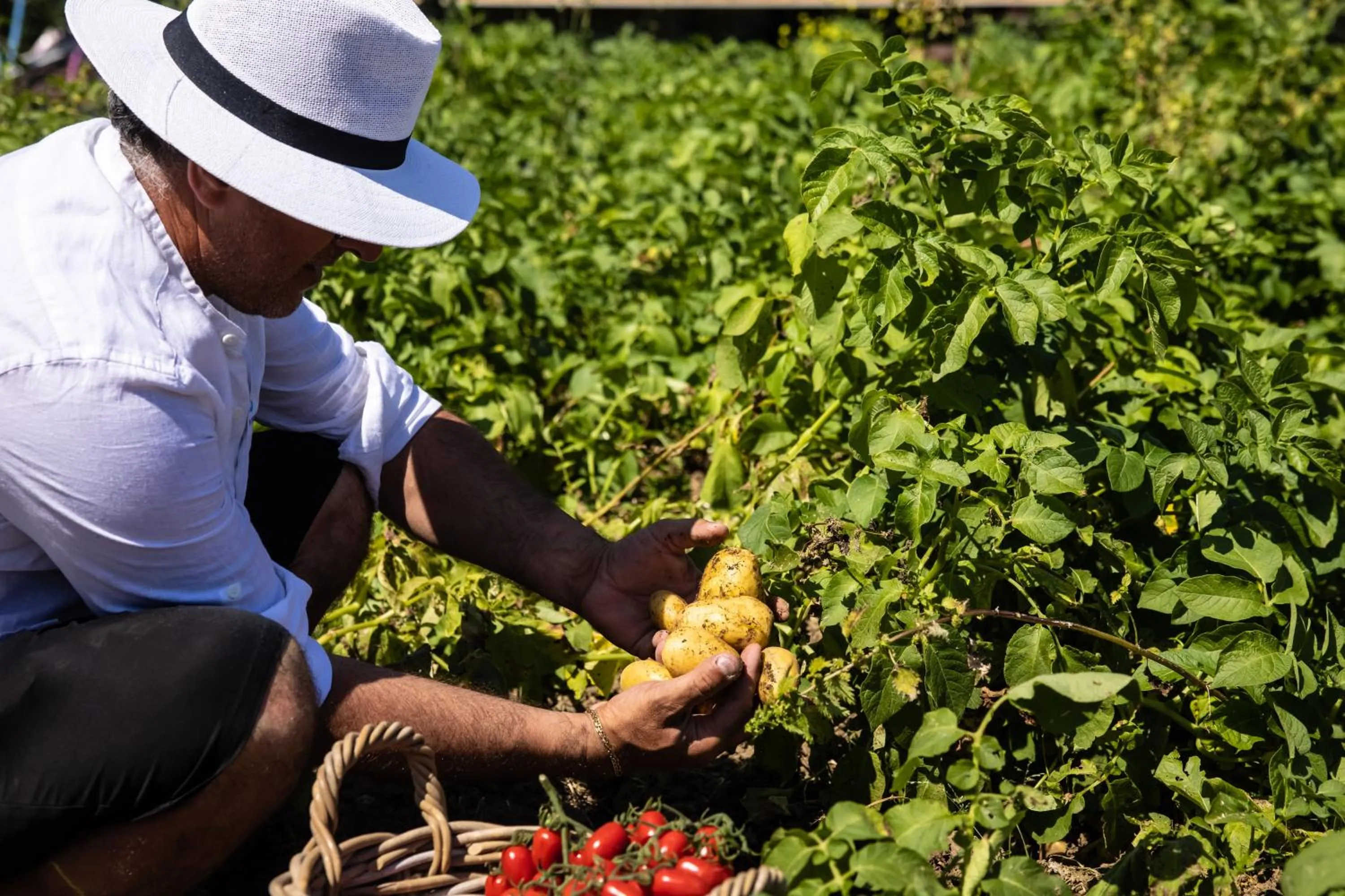 Garden in YourHome - Villa Veronica Luxury Suites in Amalfi coast