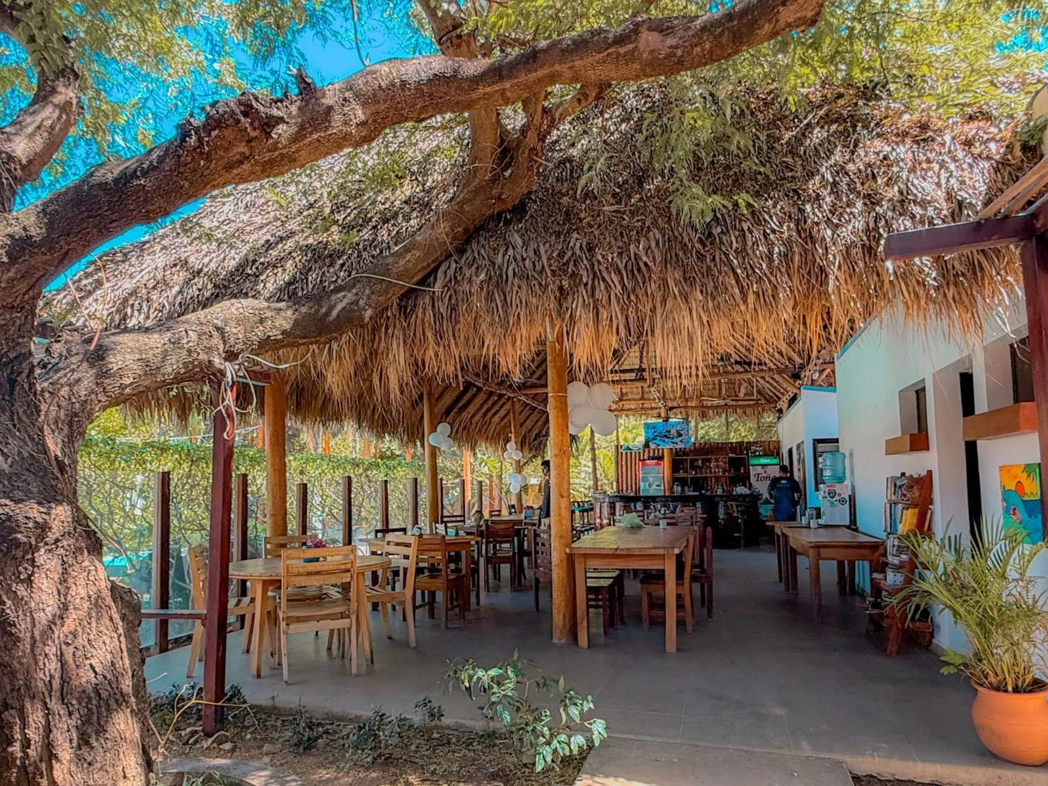 Hotel Ingigante
